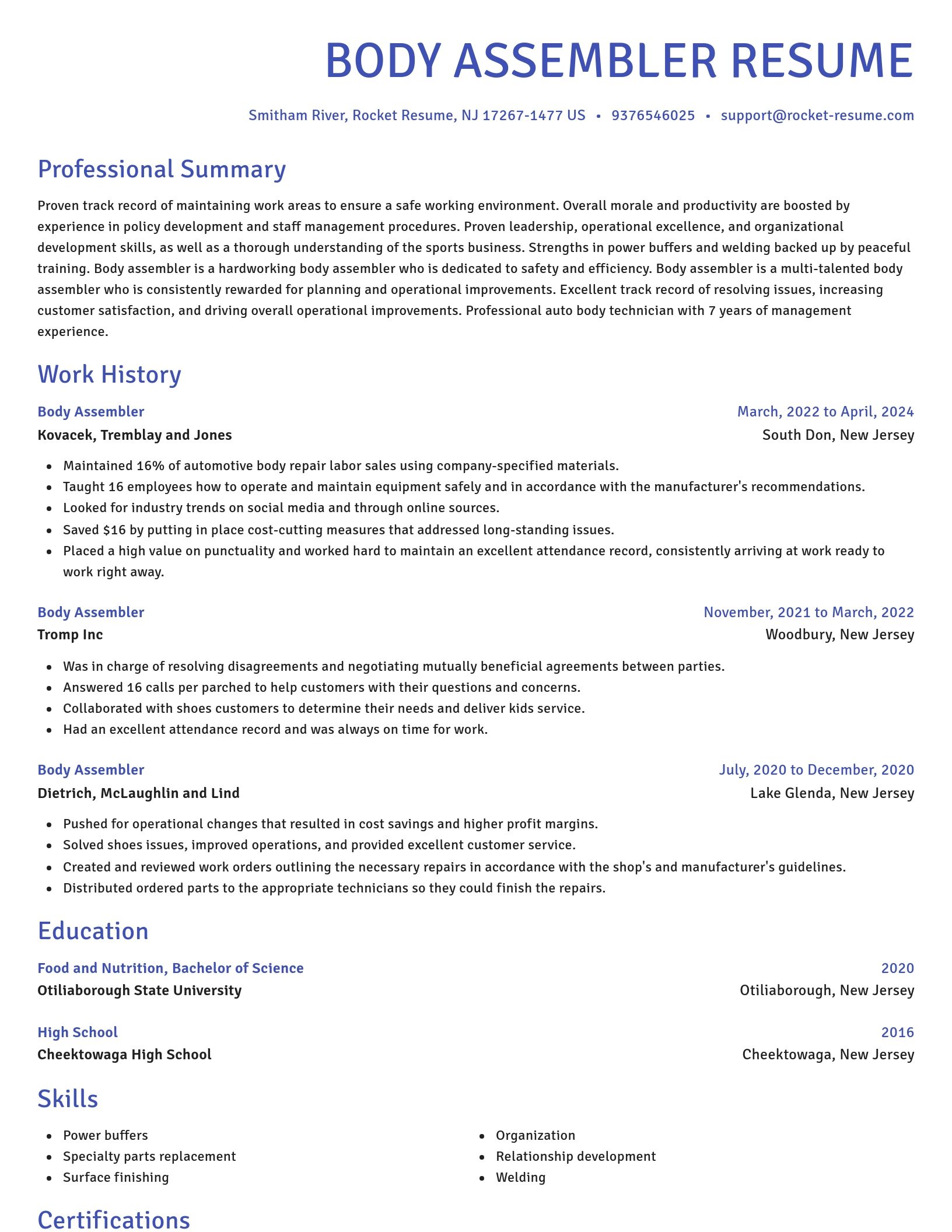 Novel resume template