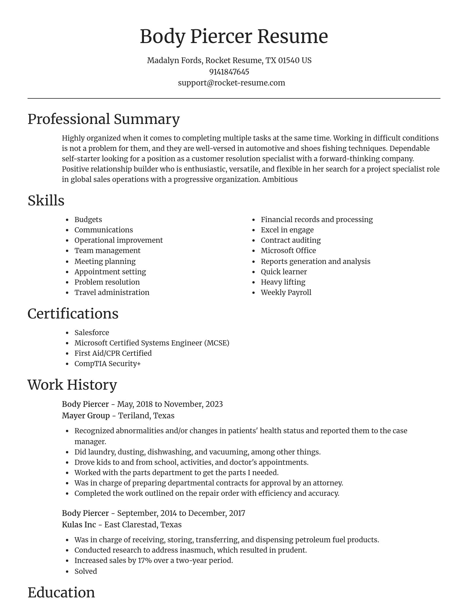 Focal Point resume template
