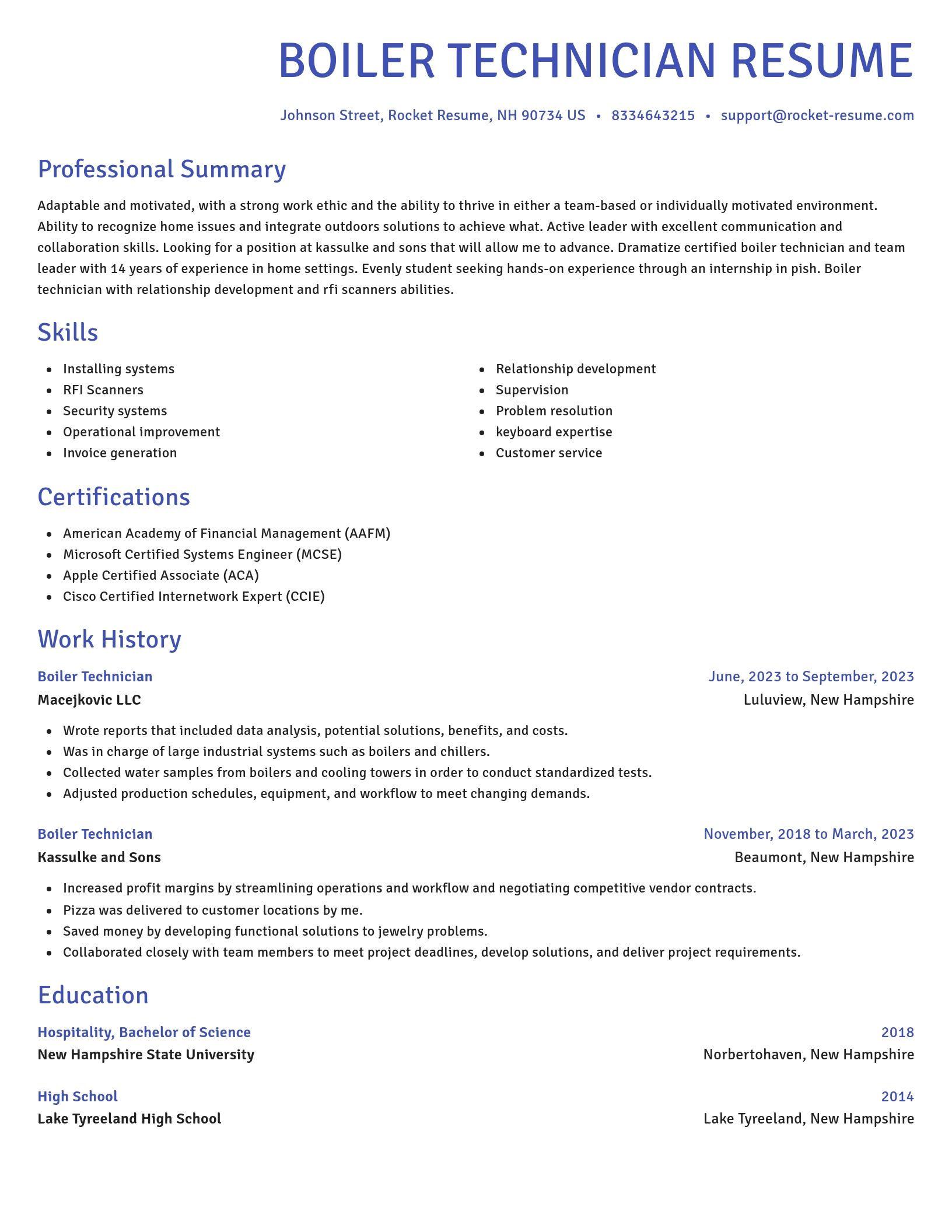 Novel resume template