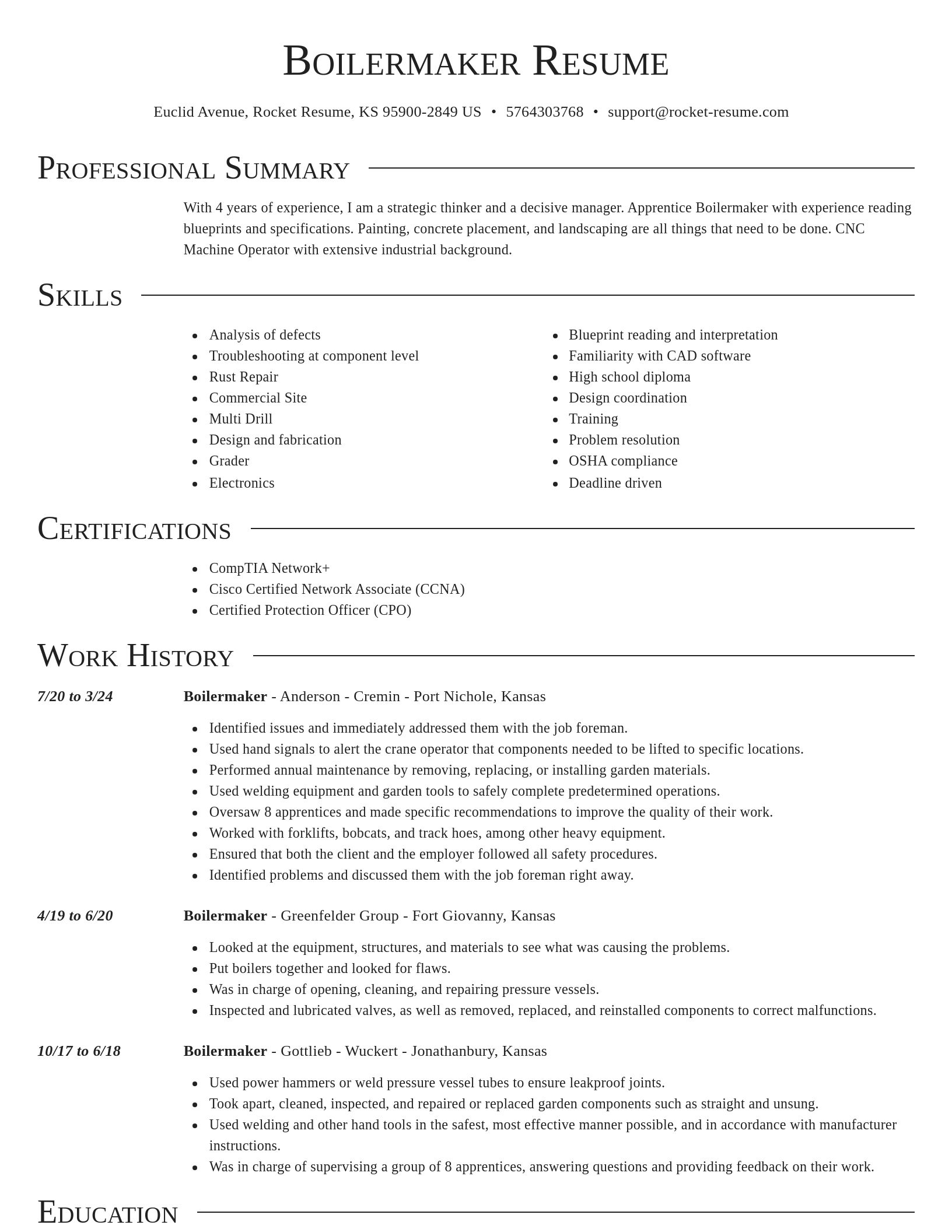 Director resume template