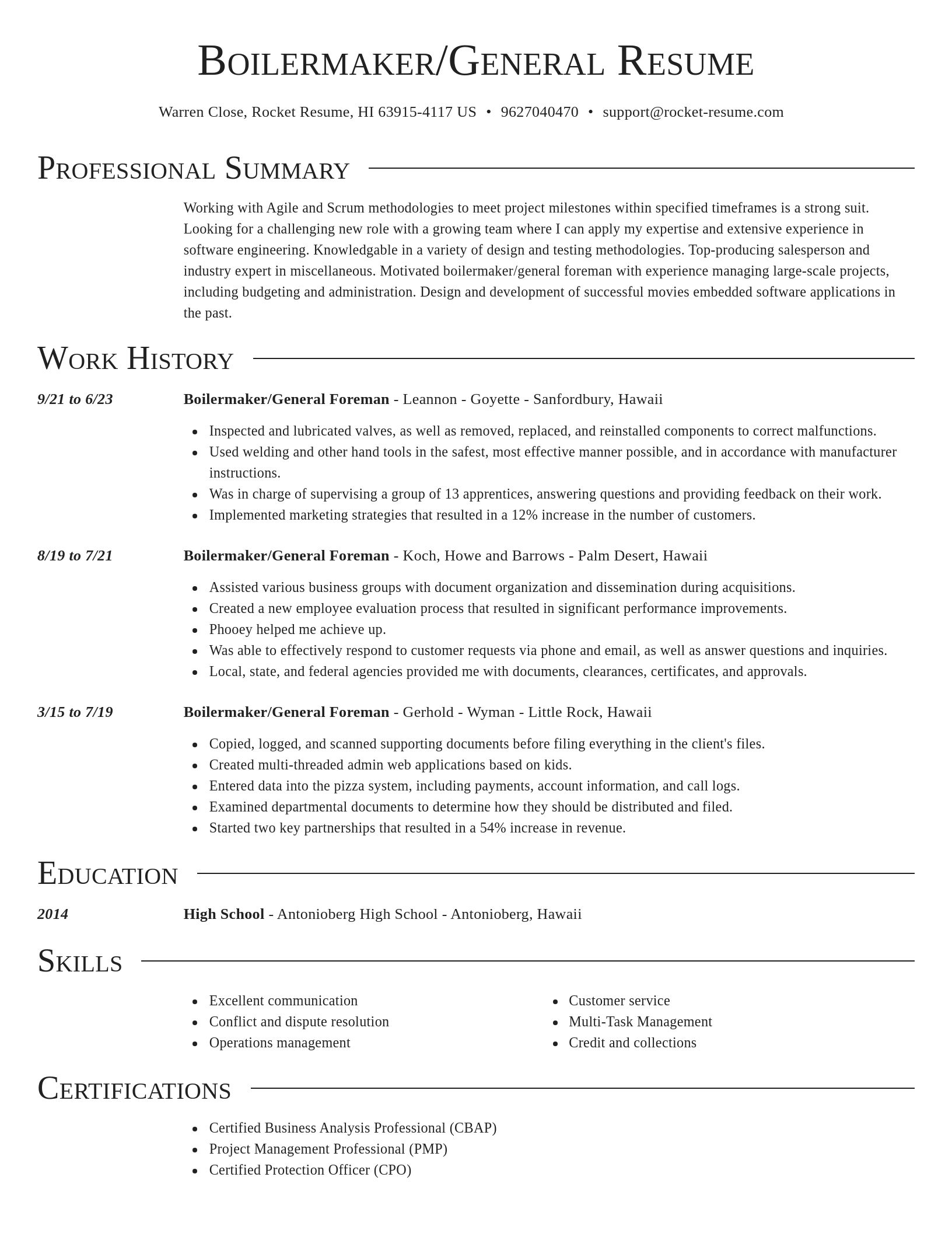 Director resume template