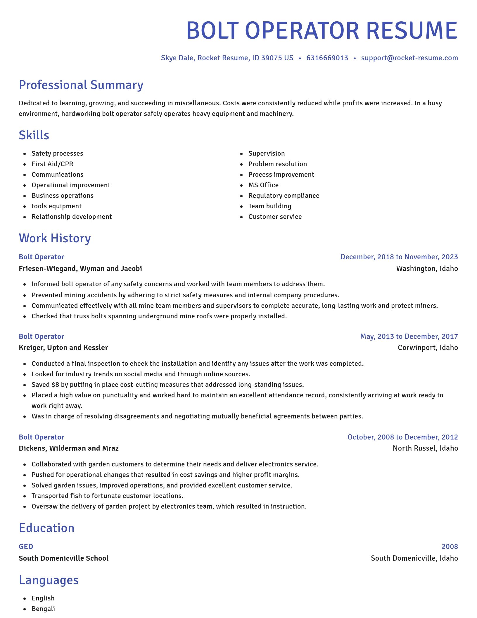 Novel resume template