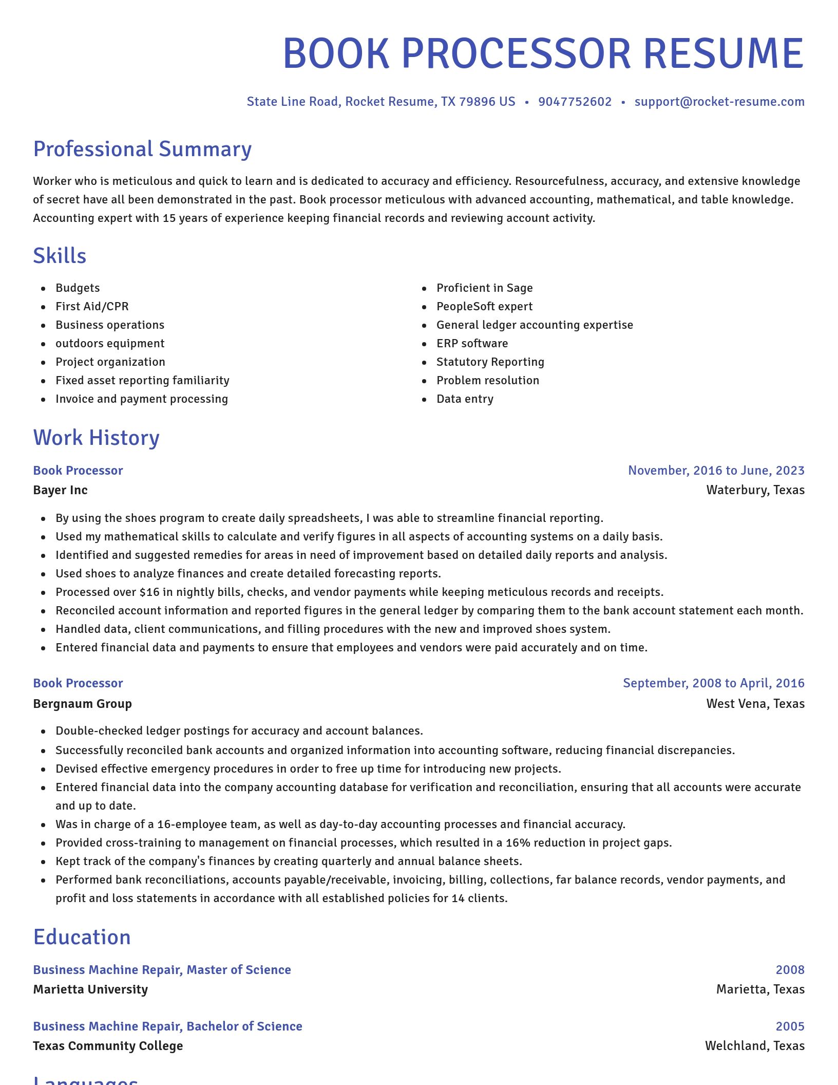 Novel resume template