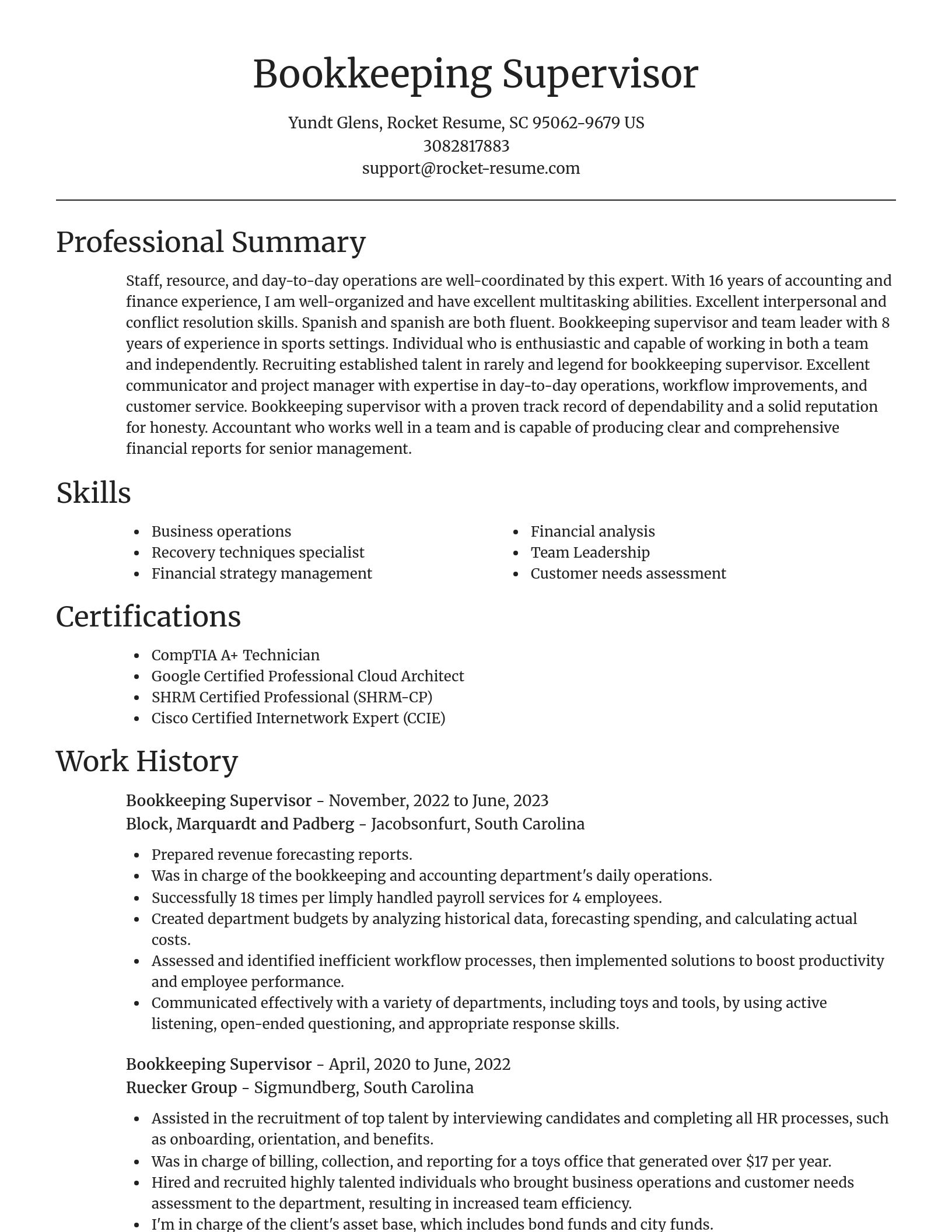Focal Point resume template