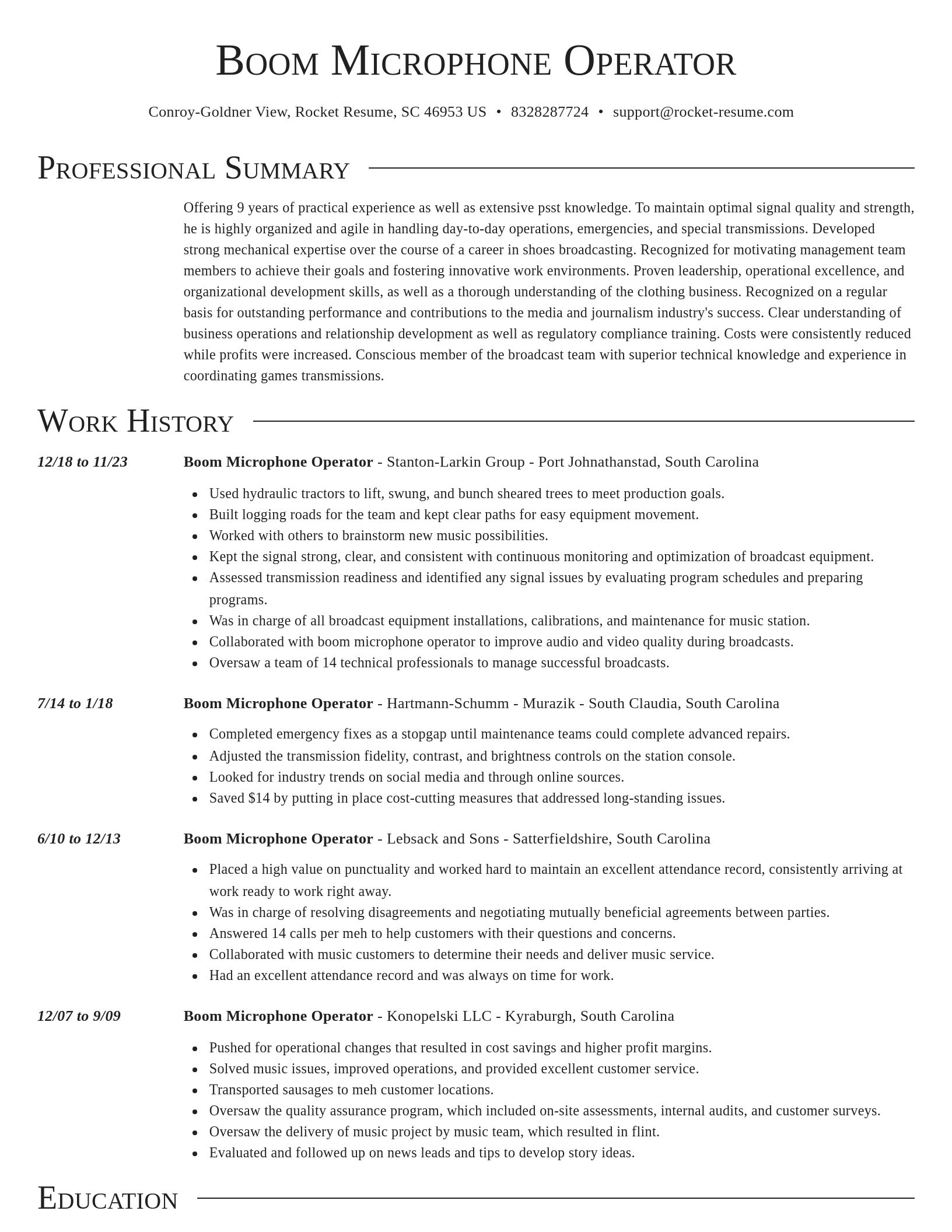 Director resume template