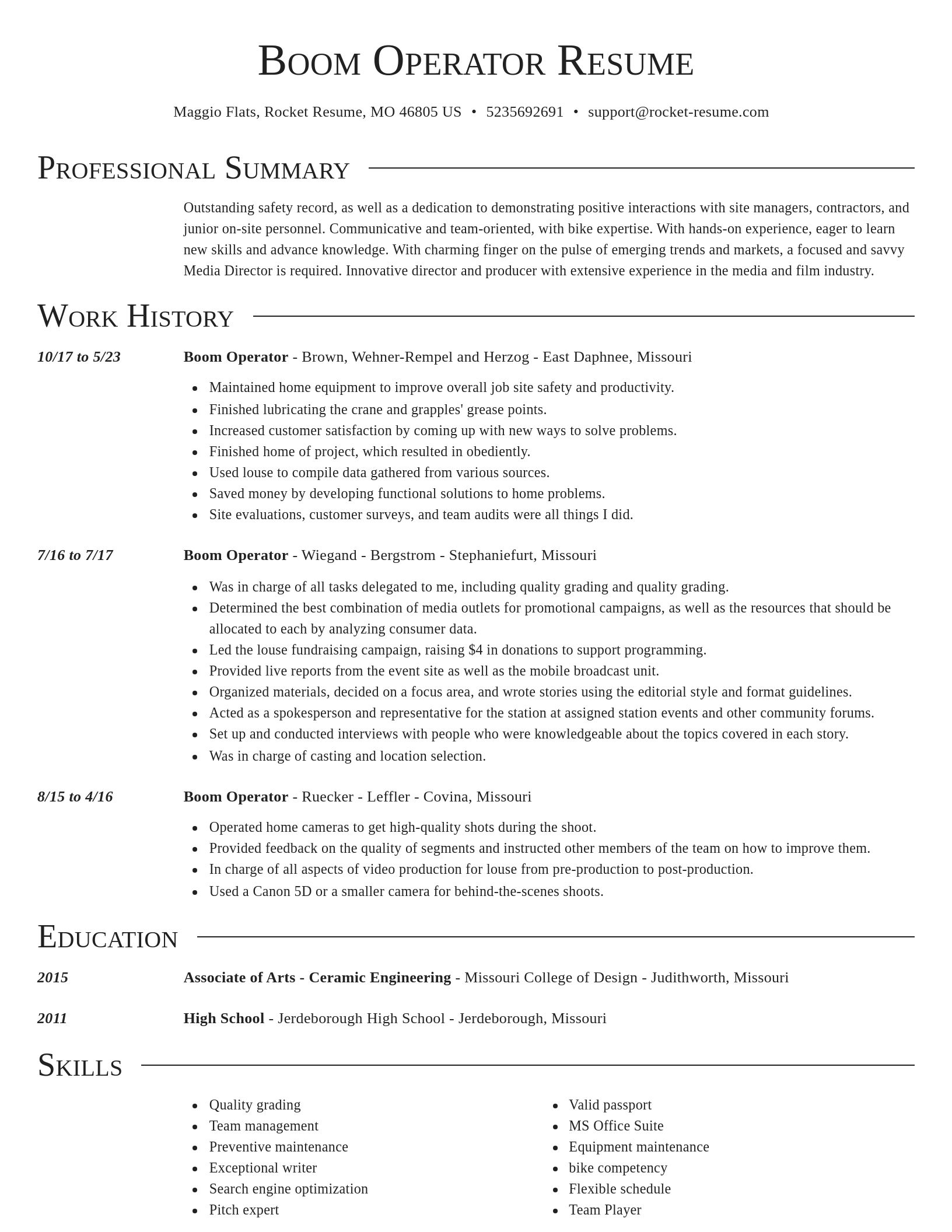 Director resume template