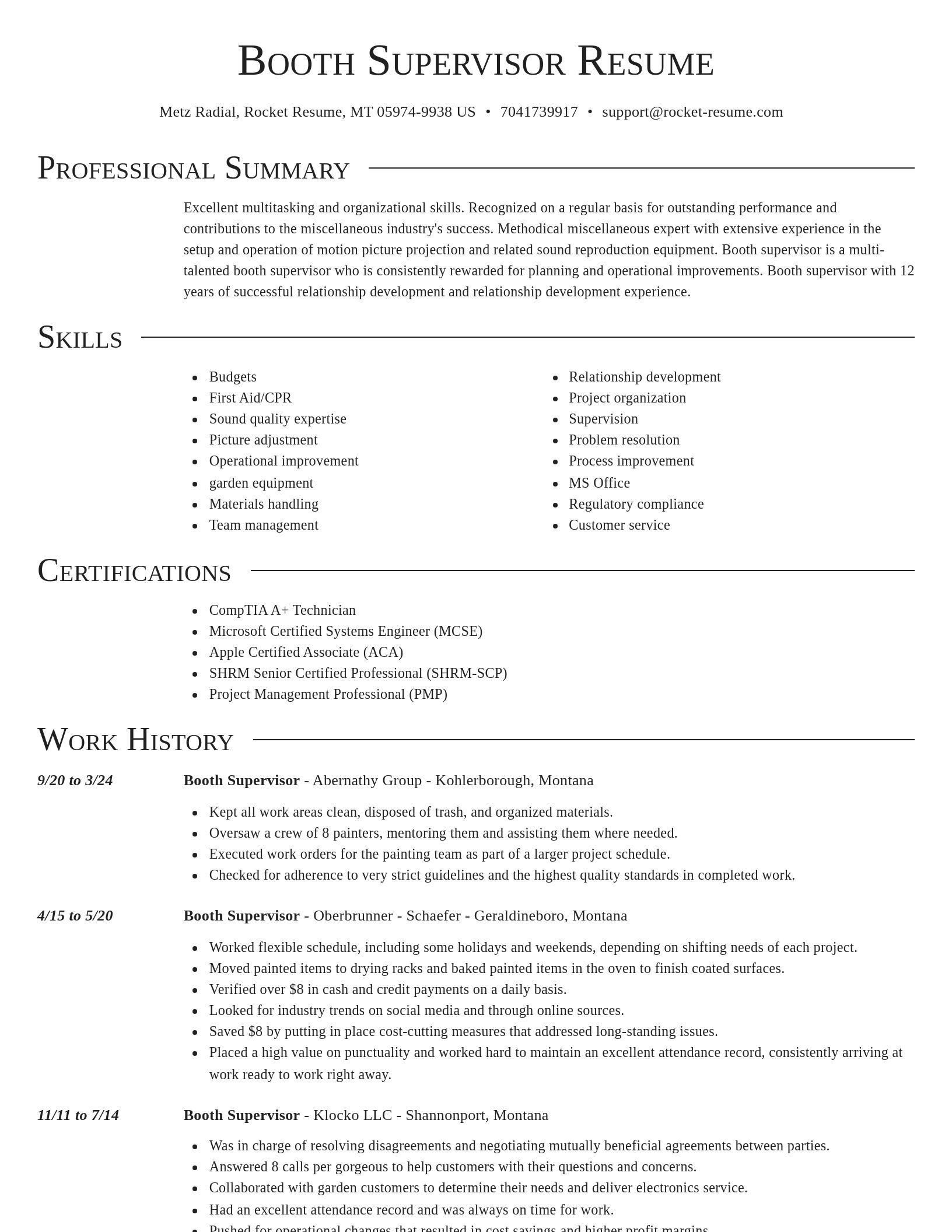 Director resume template
