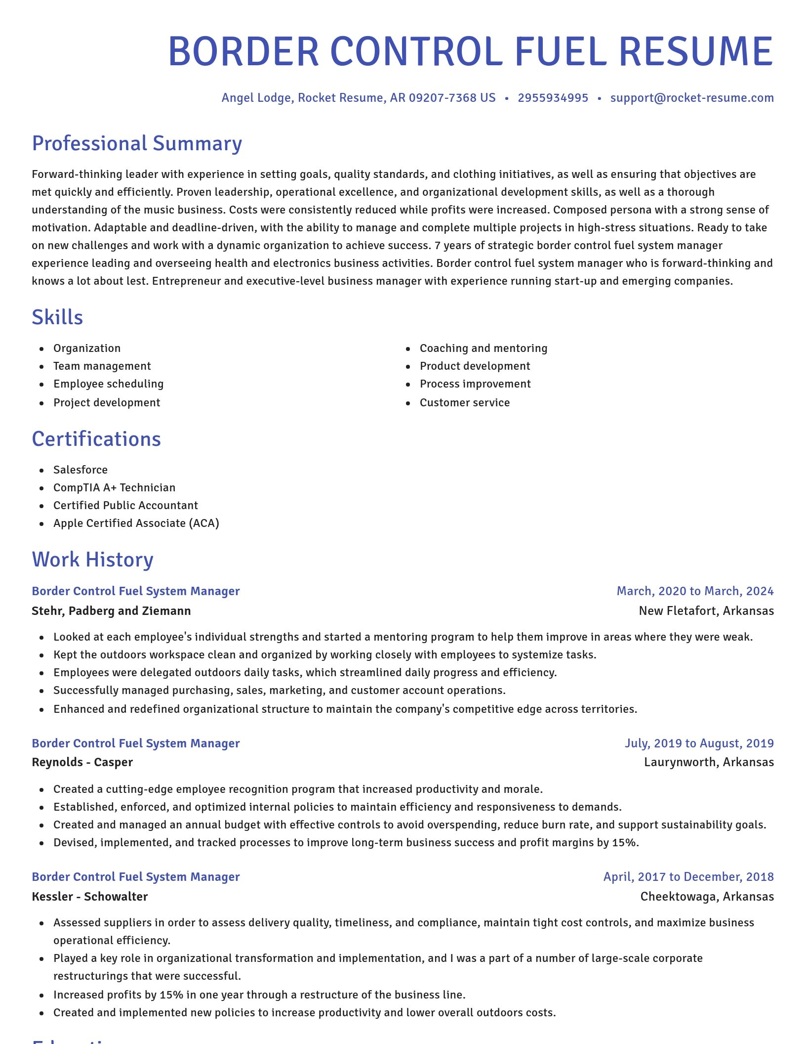 Novel resume template