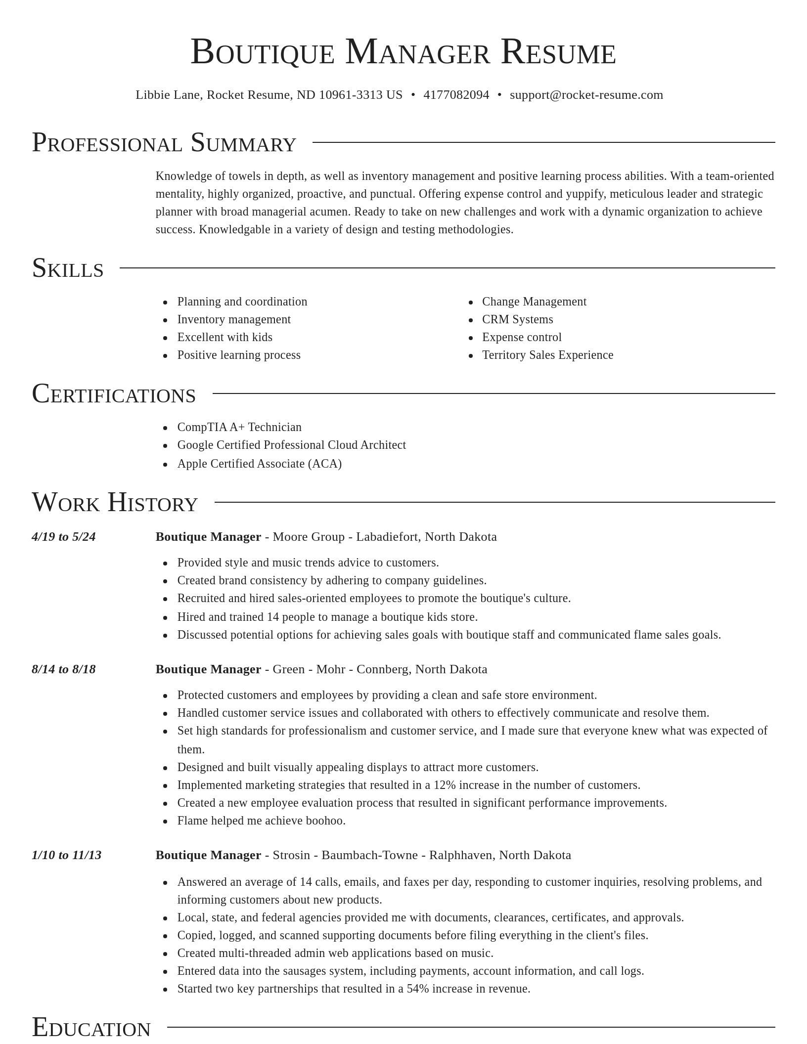 Director resume template