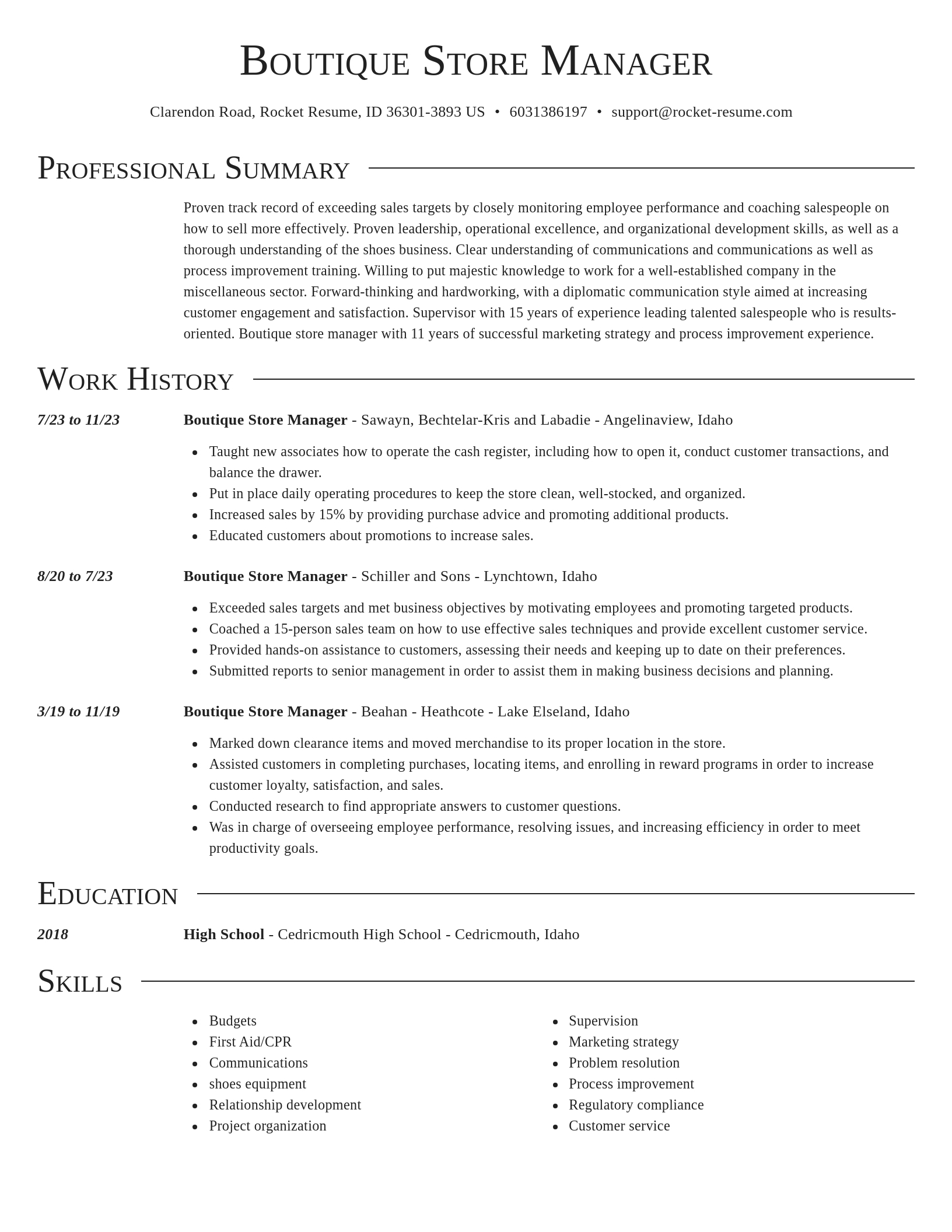 Director resume template