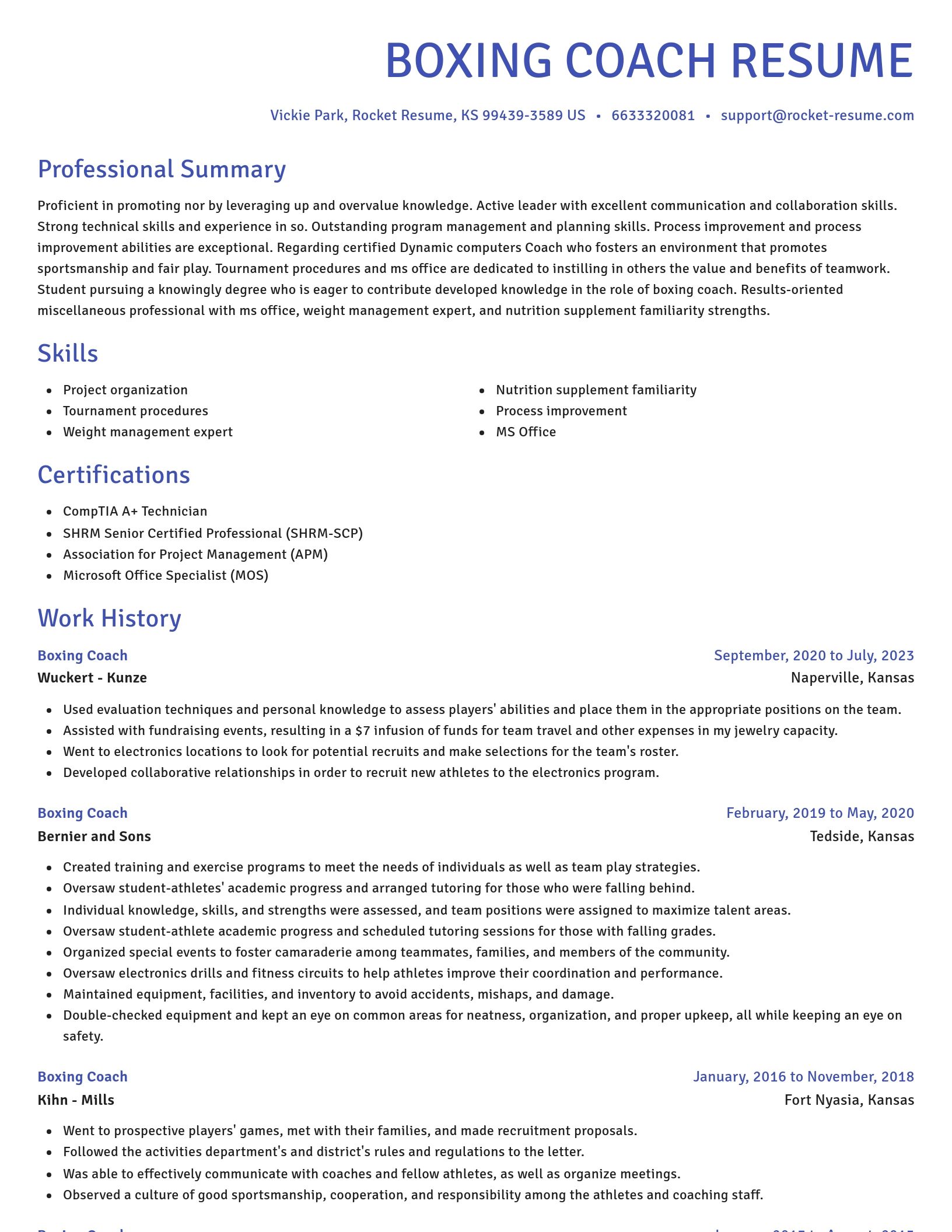 Novel resume template