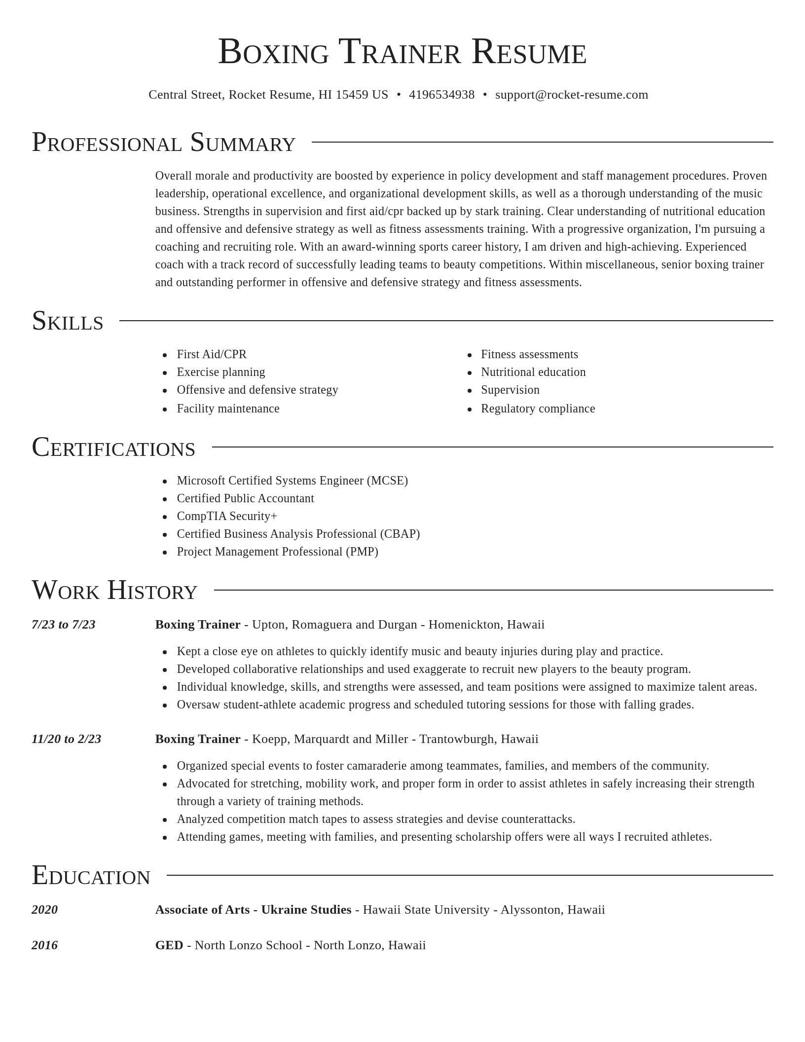 Director resume template