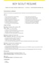 Boy Scout resume template