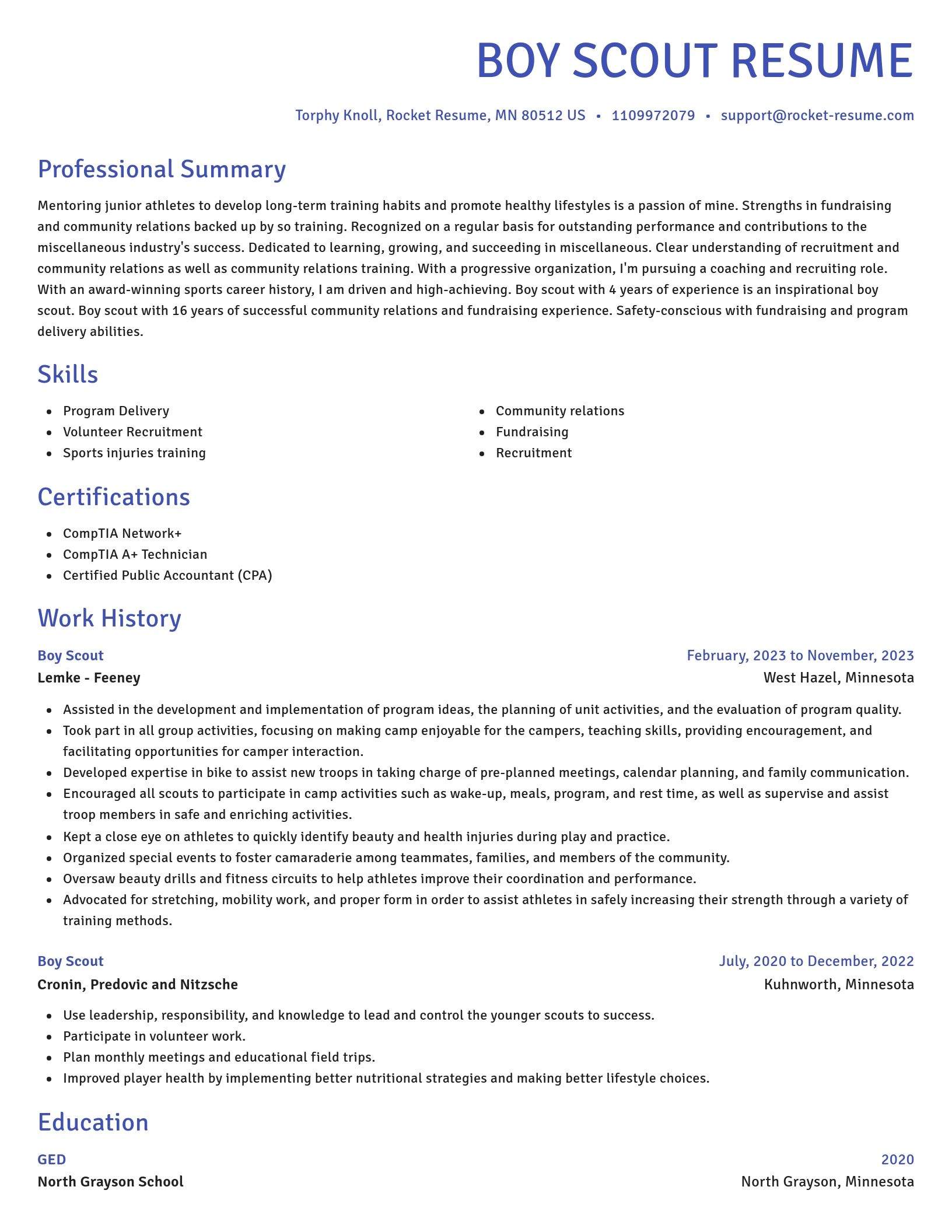 Novel resume template