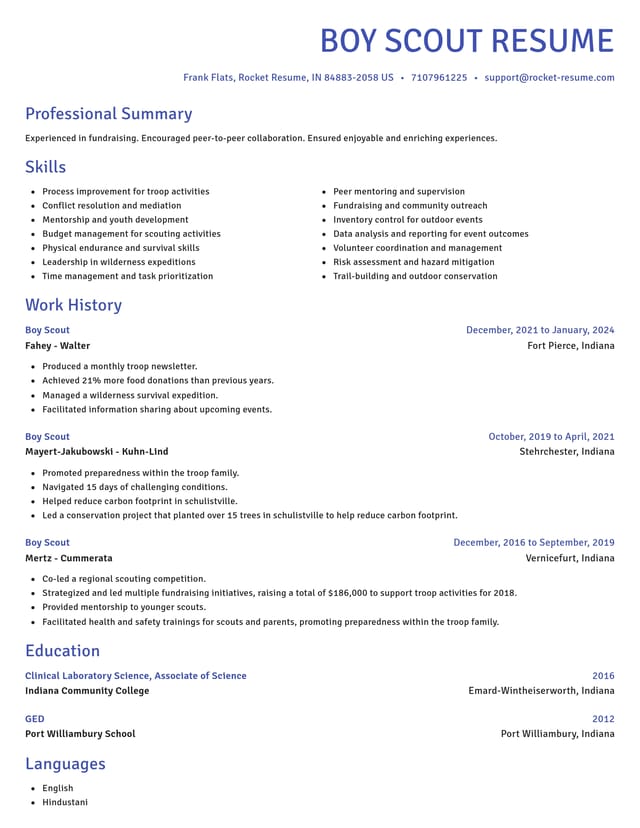 Novel resume template