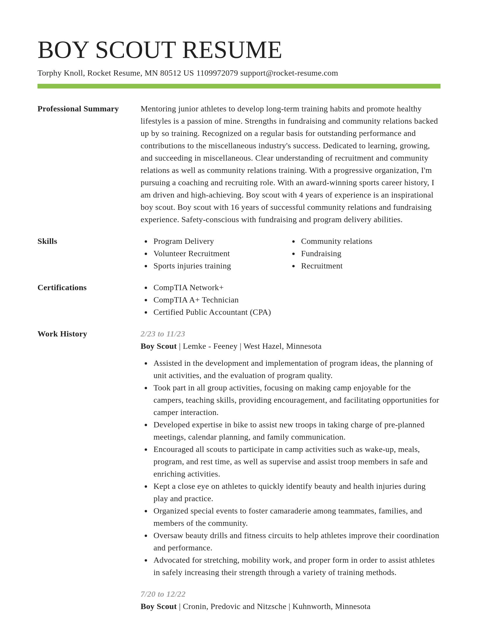 Smart resume template