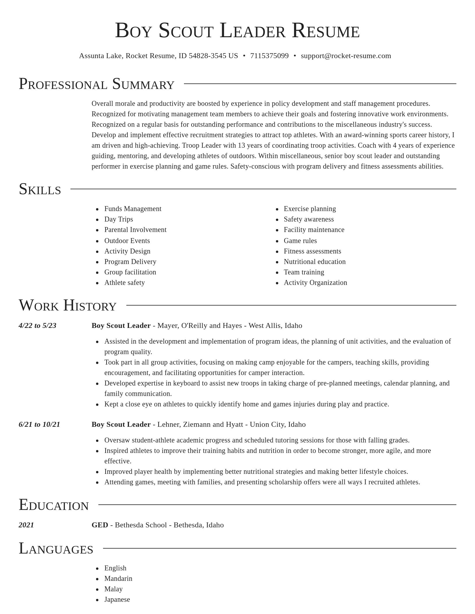 Director resume template