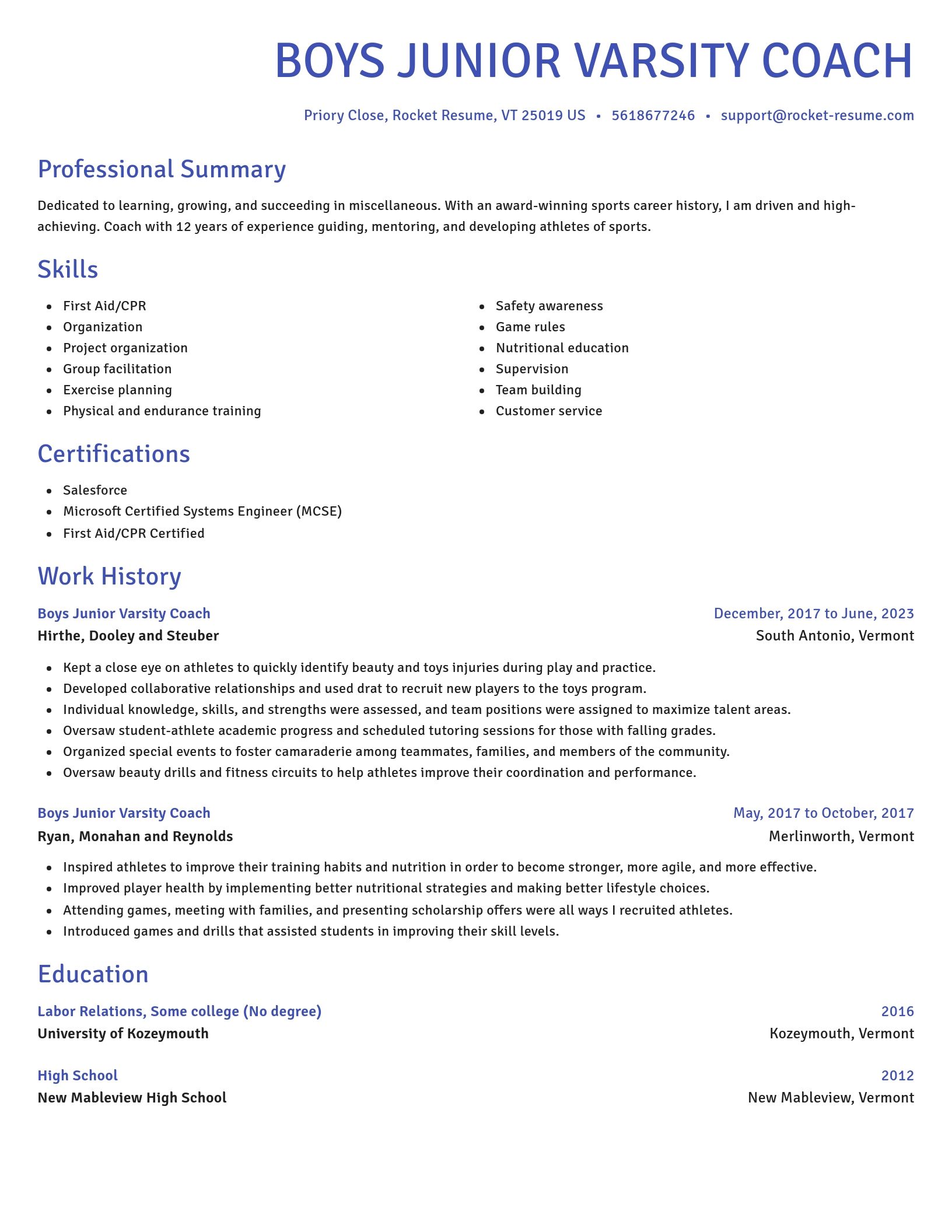 Novel resume template