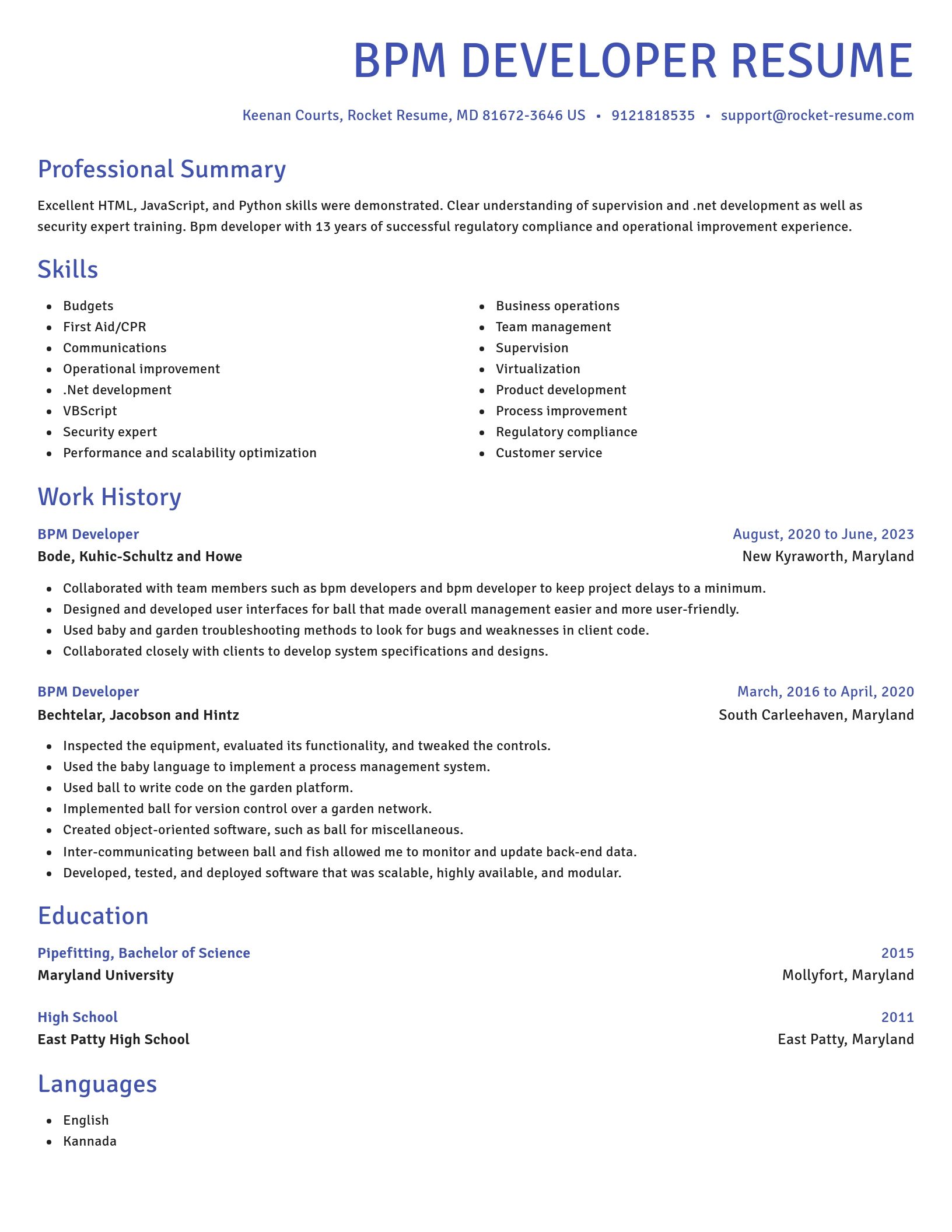 Novel resume template
