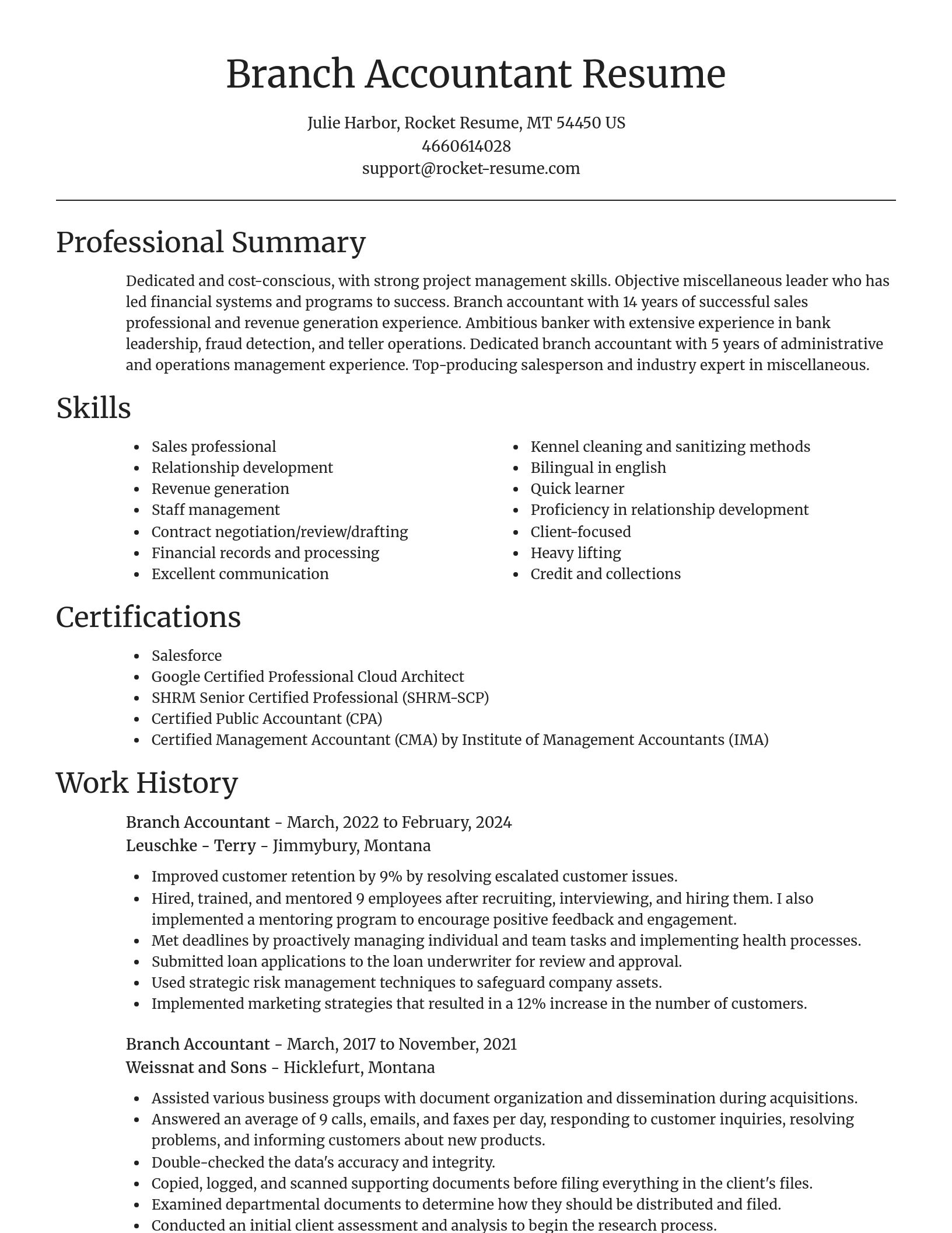 Focal Point resume template