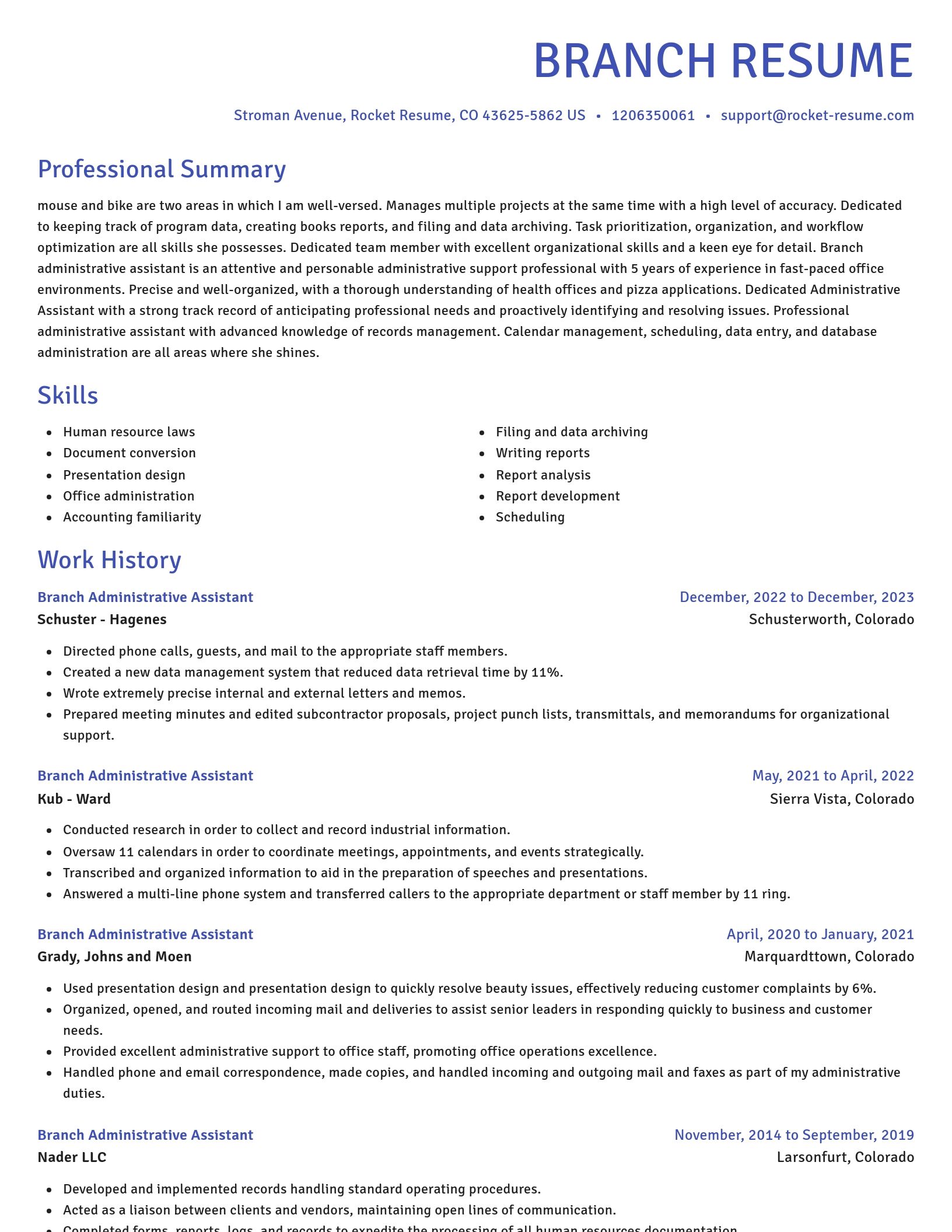 Novel resume template