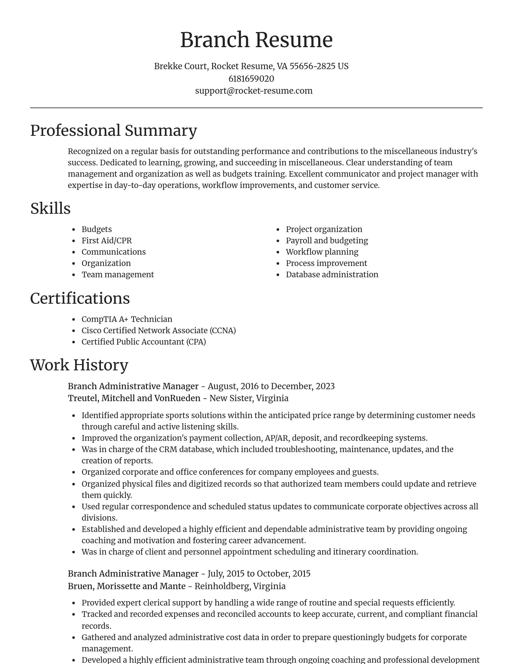 Focal Point resume template