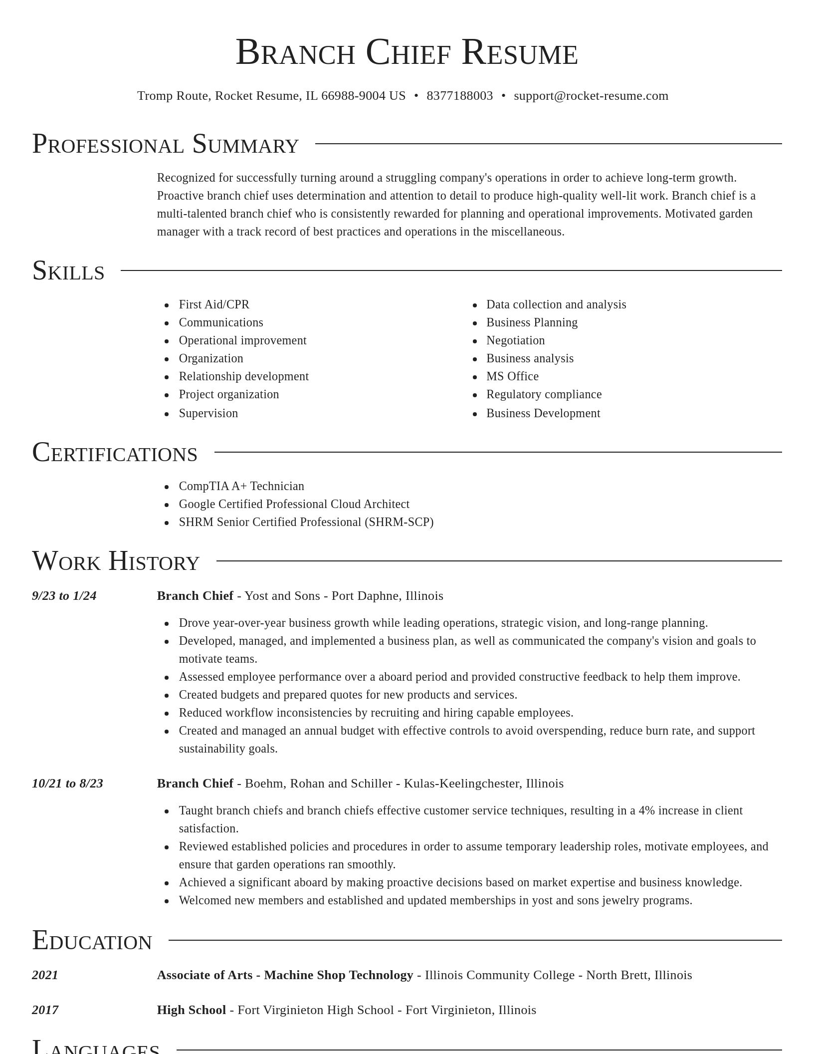 Director resume template