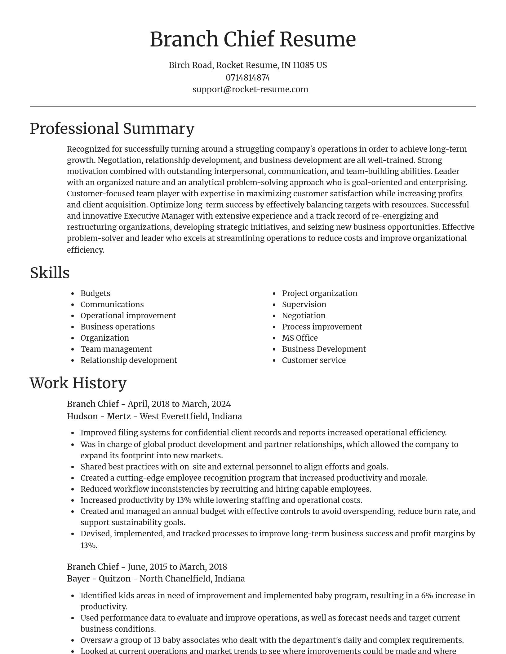 Focal Point resume template