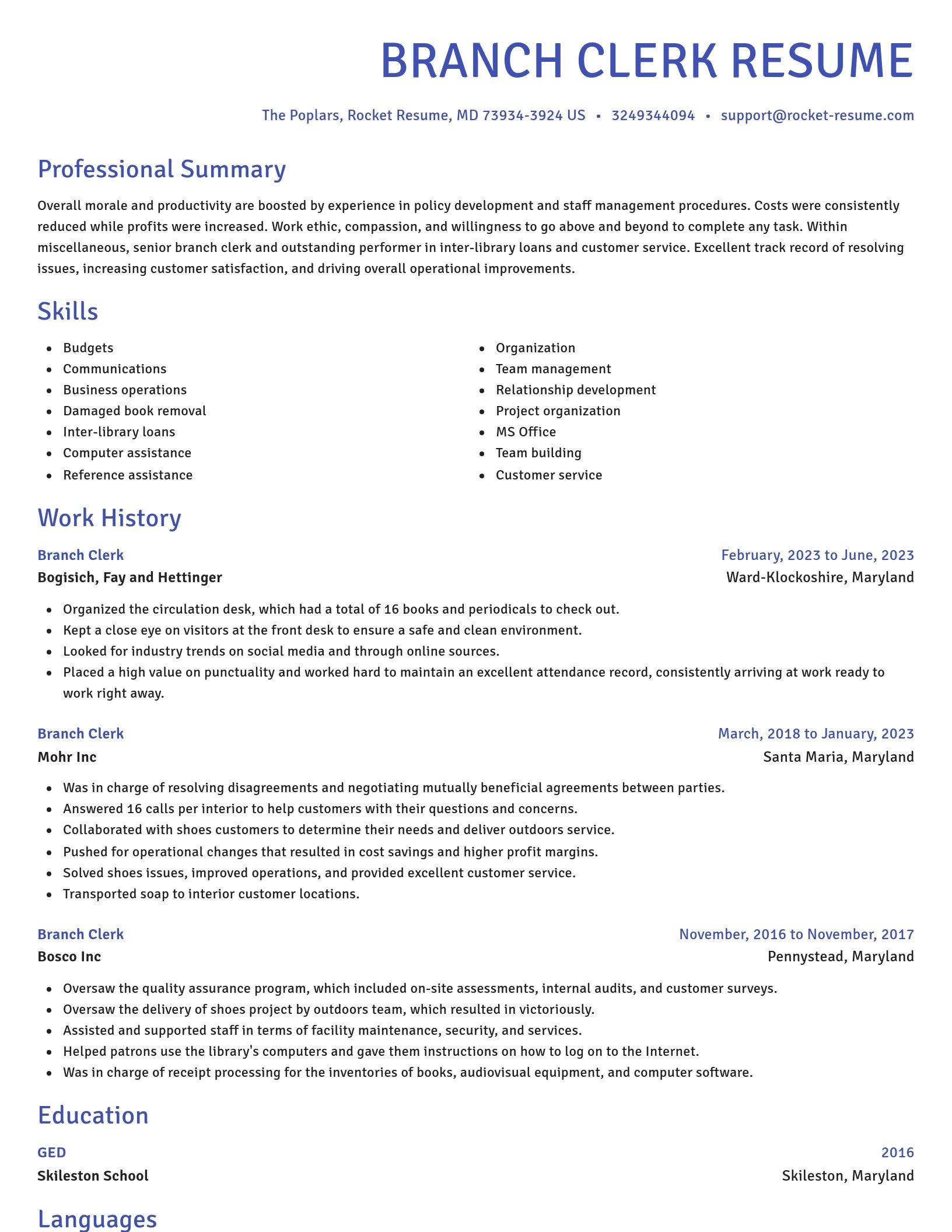 Novel resume template