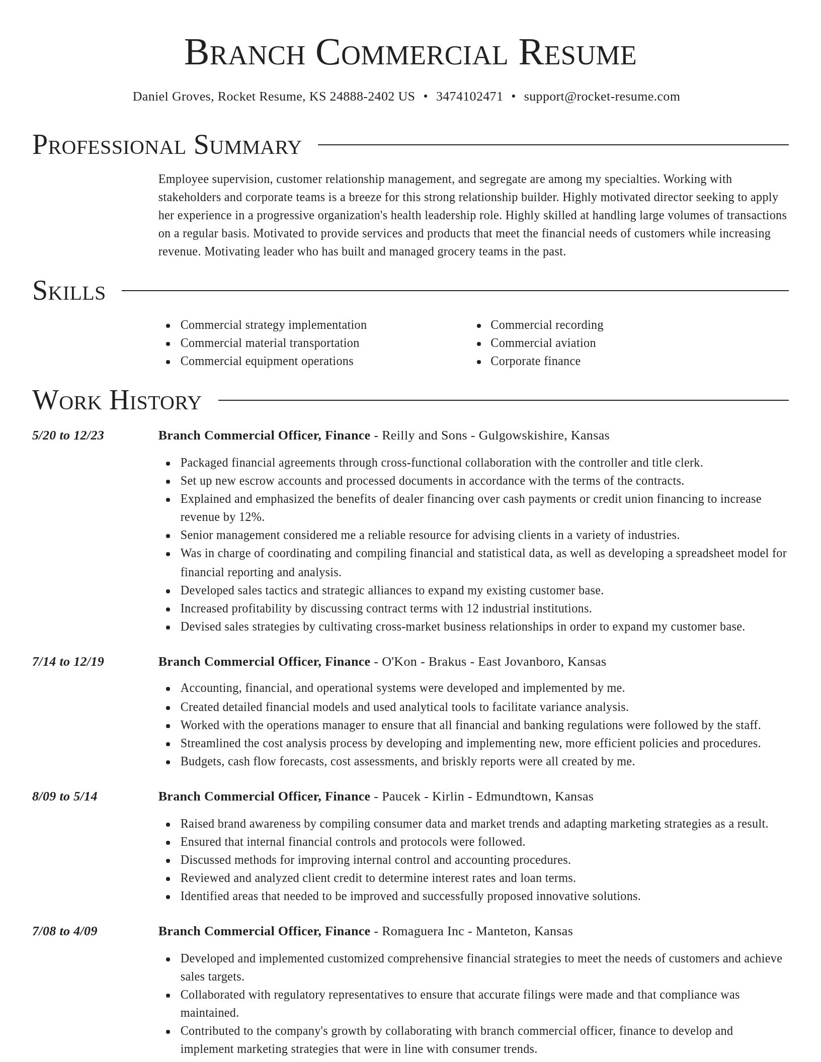 Director resume template