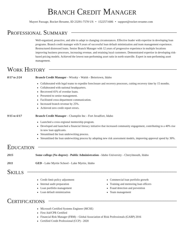 Director resume template