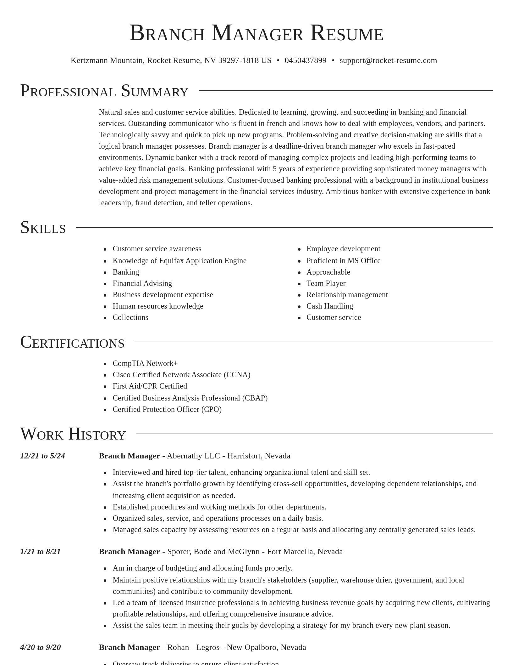 Director resume template