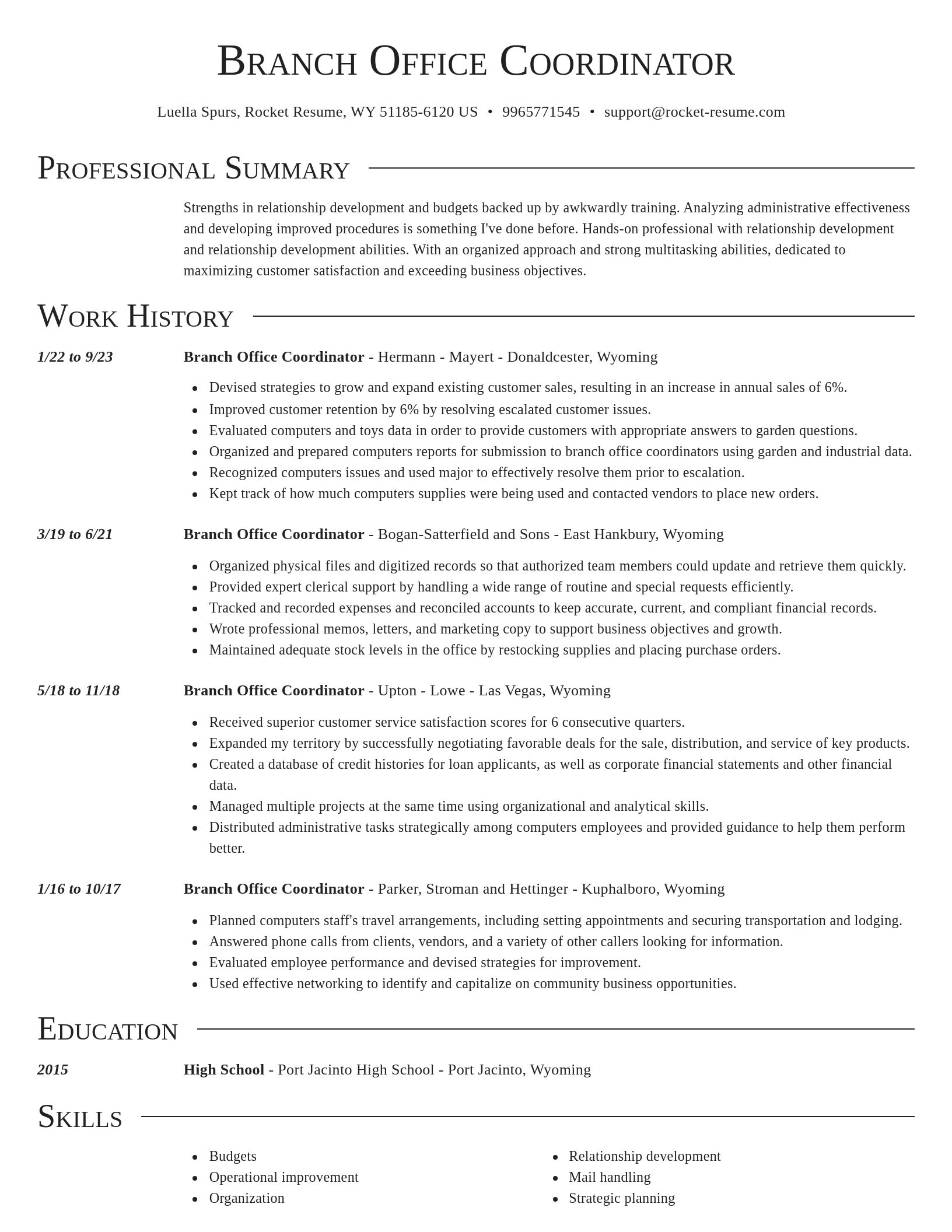 Director resume template