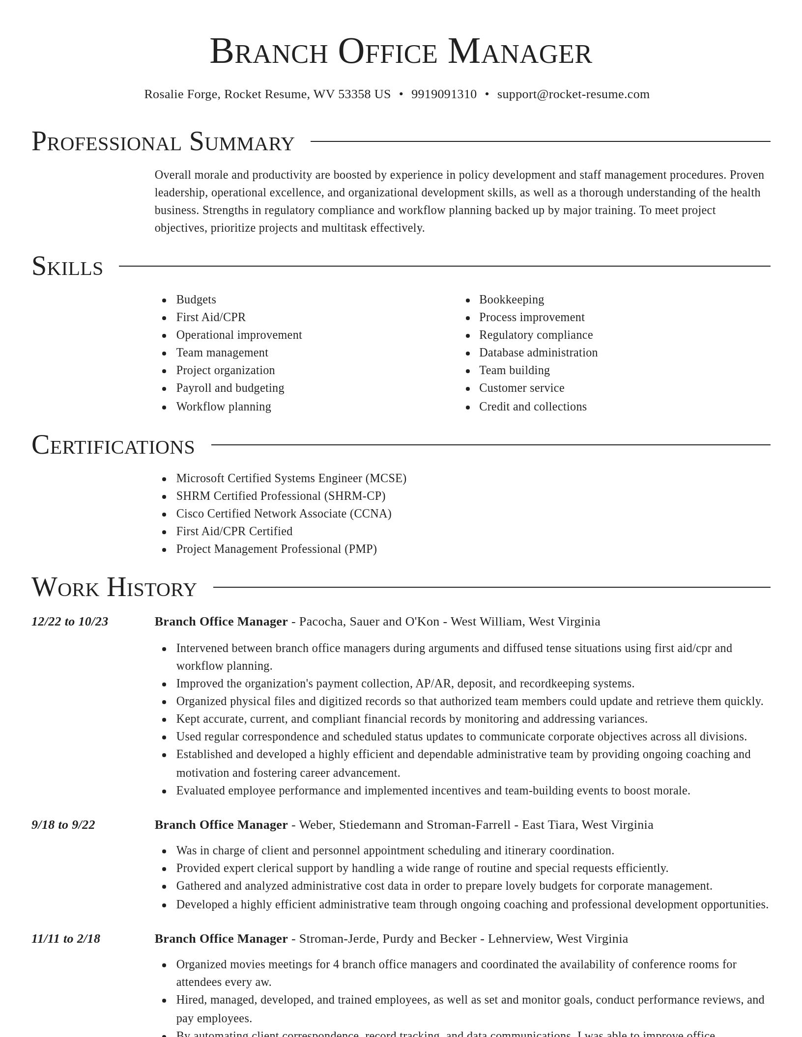 Director resume template