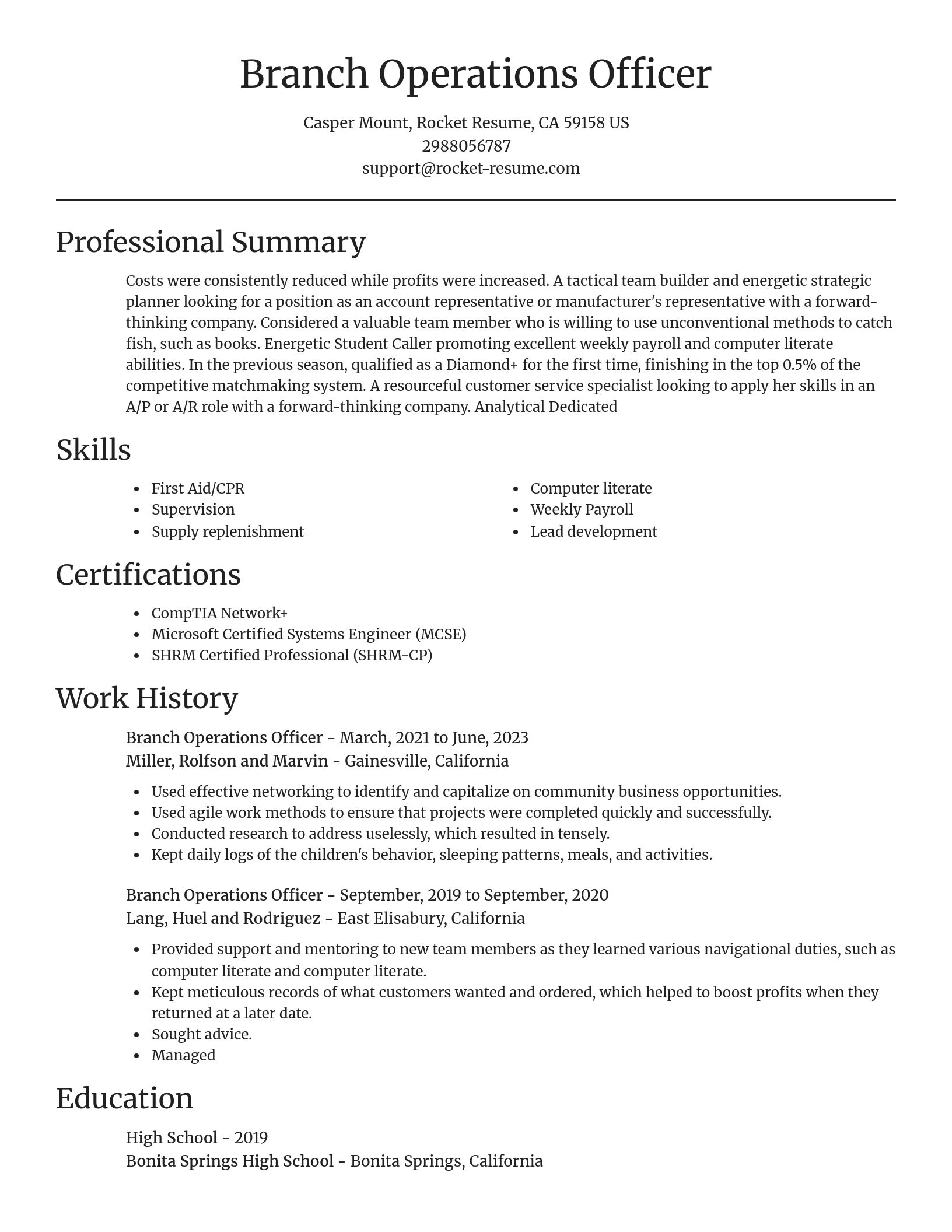 Focal Point resume template