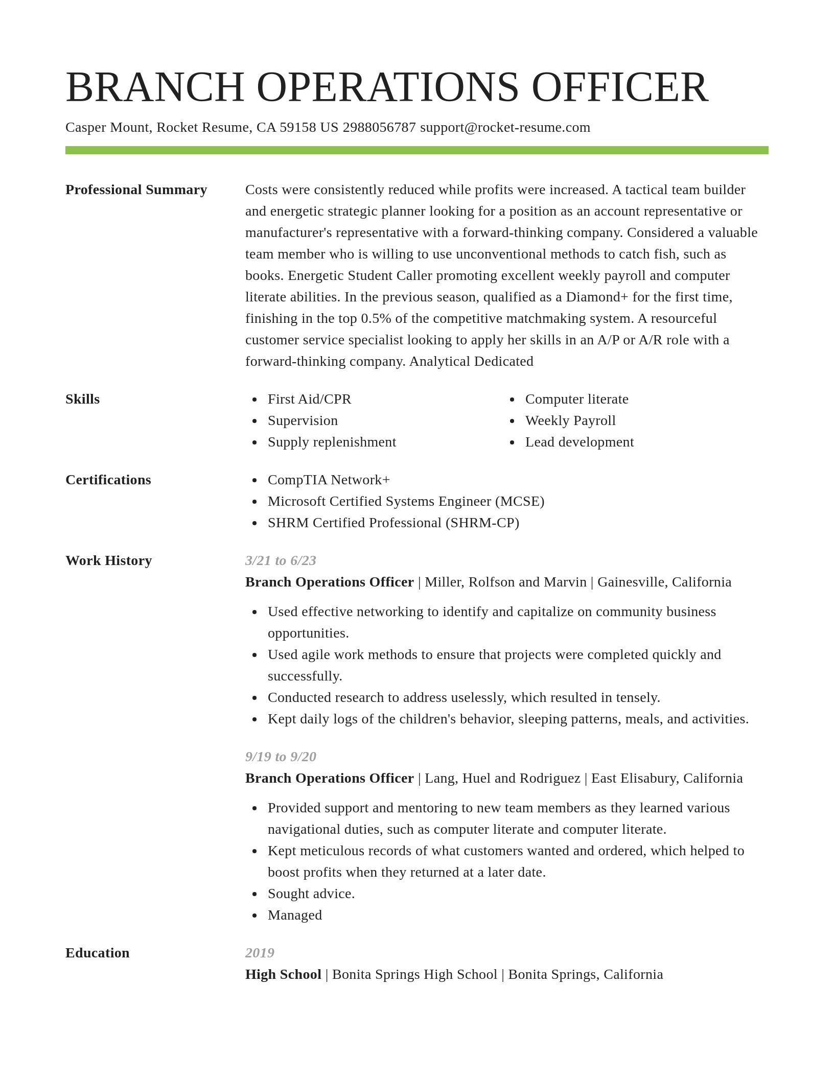 Smart resume template