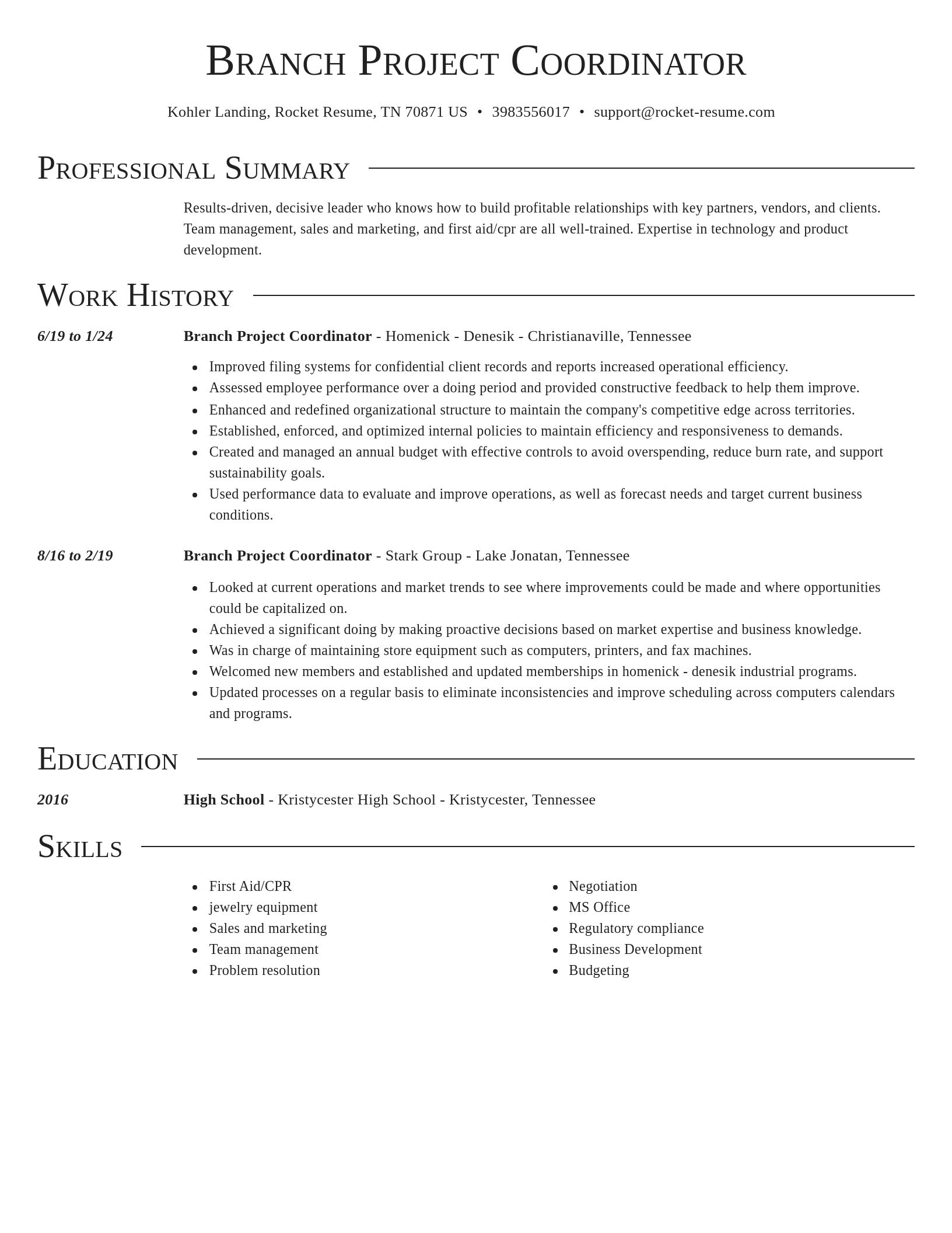 Director resume template