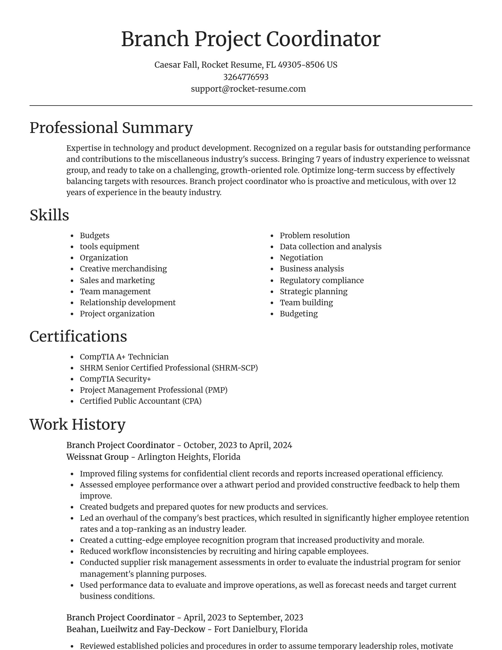 Focal Point resume template