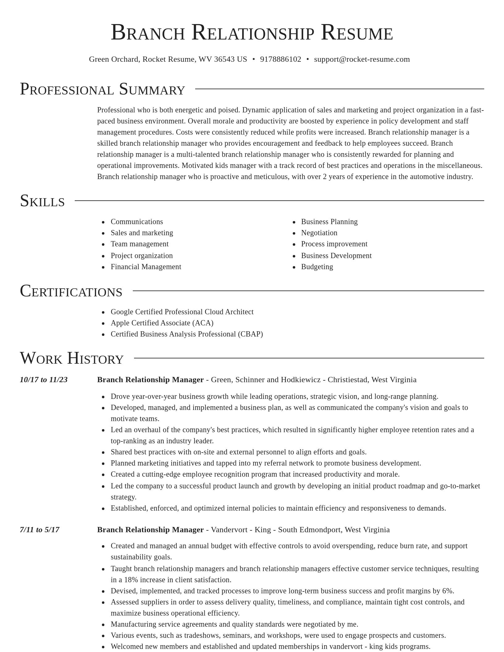 Director resume template