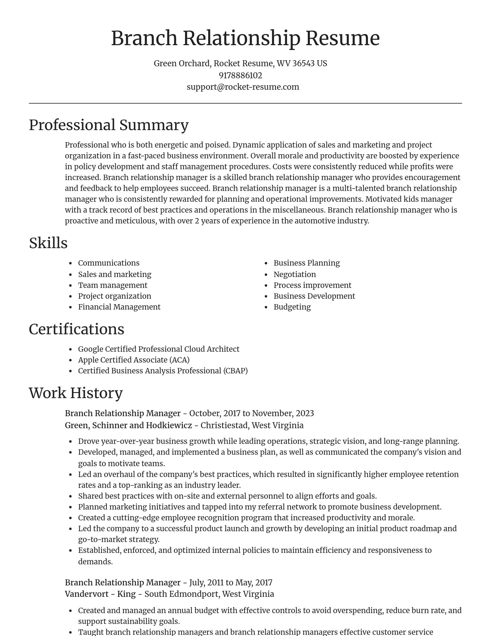 Focal Point resume template