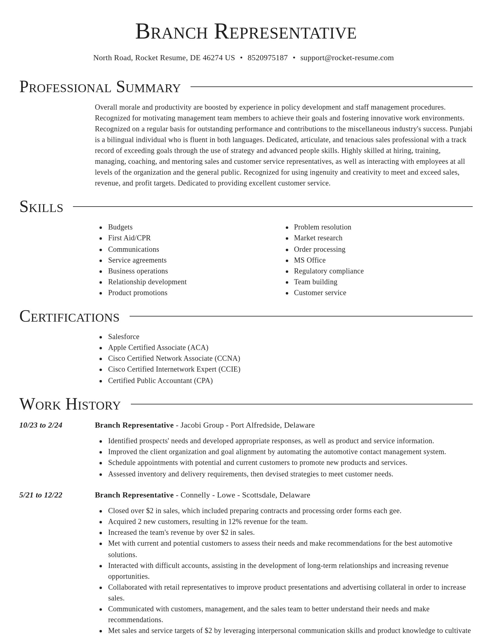 Director resume template