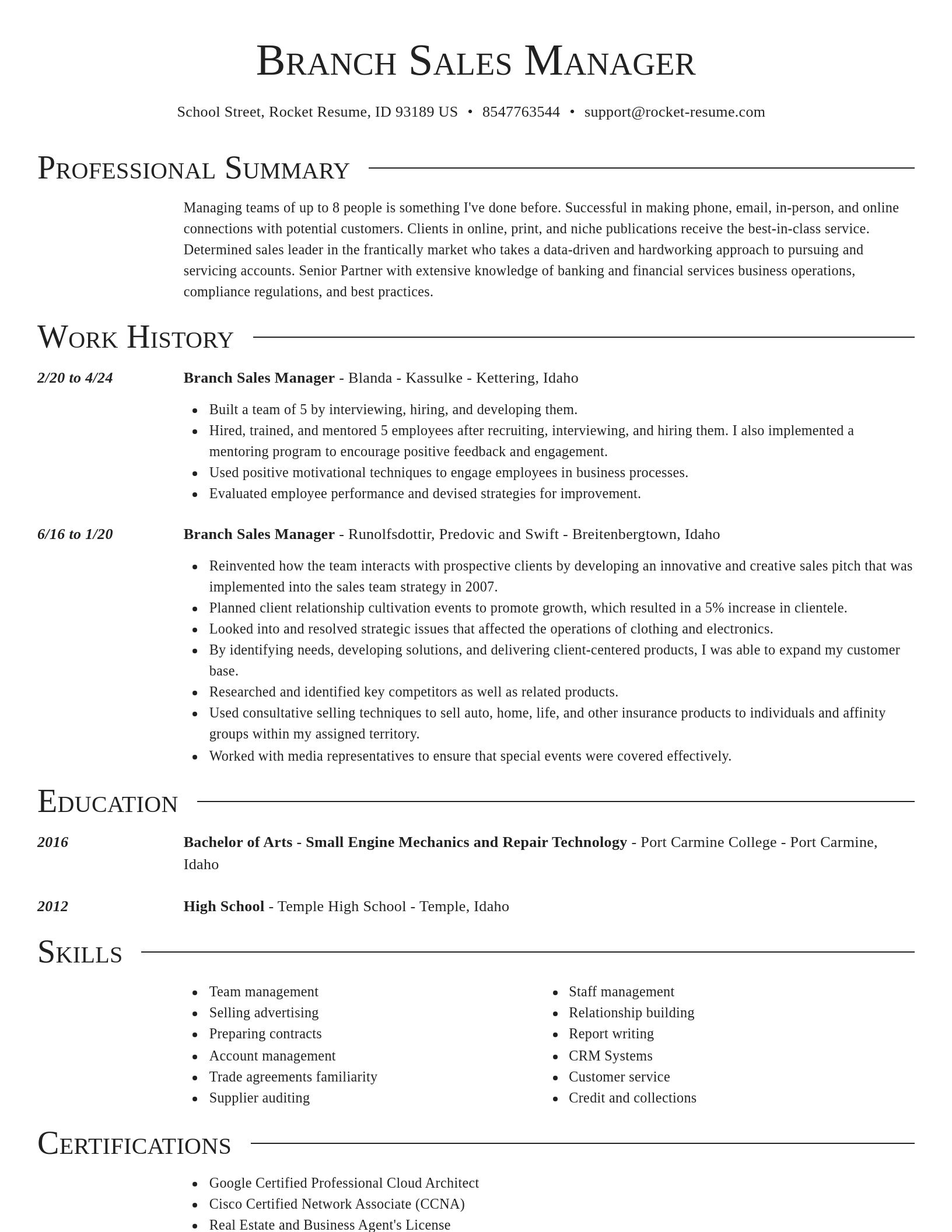 Director resume template