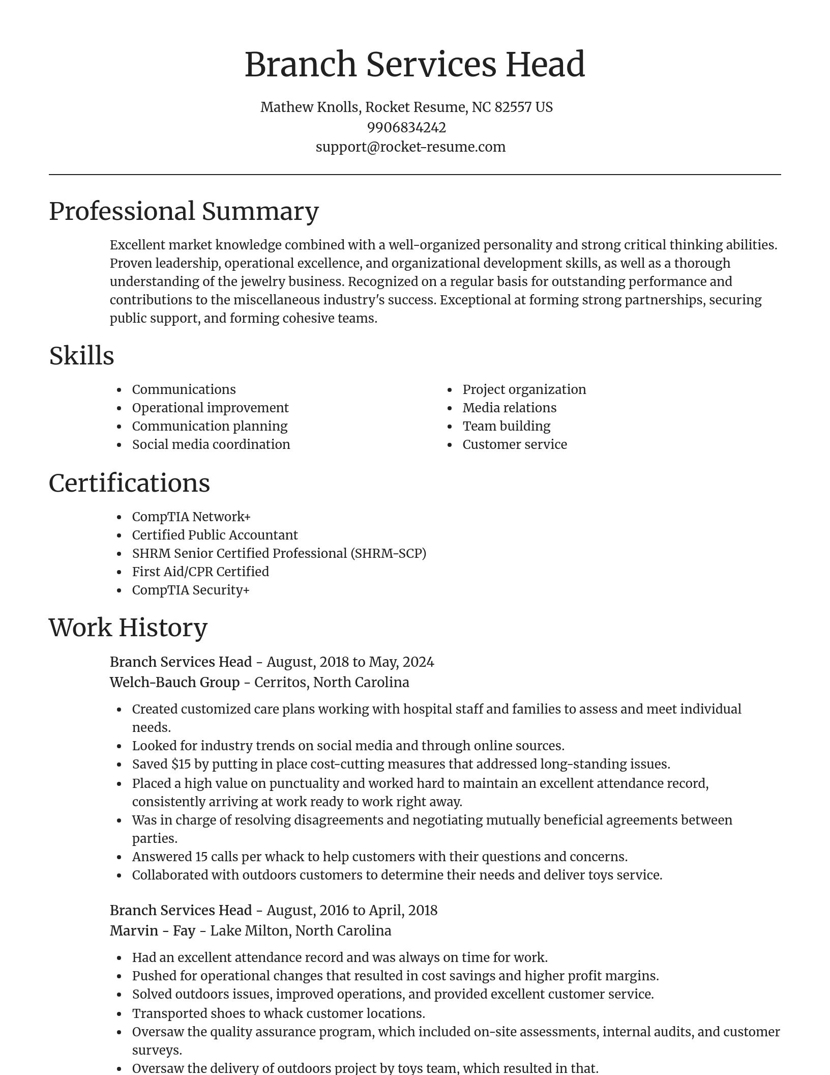 Focal Point resume template