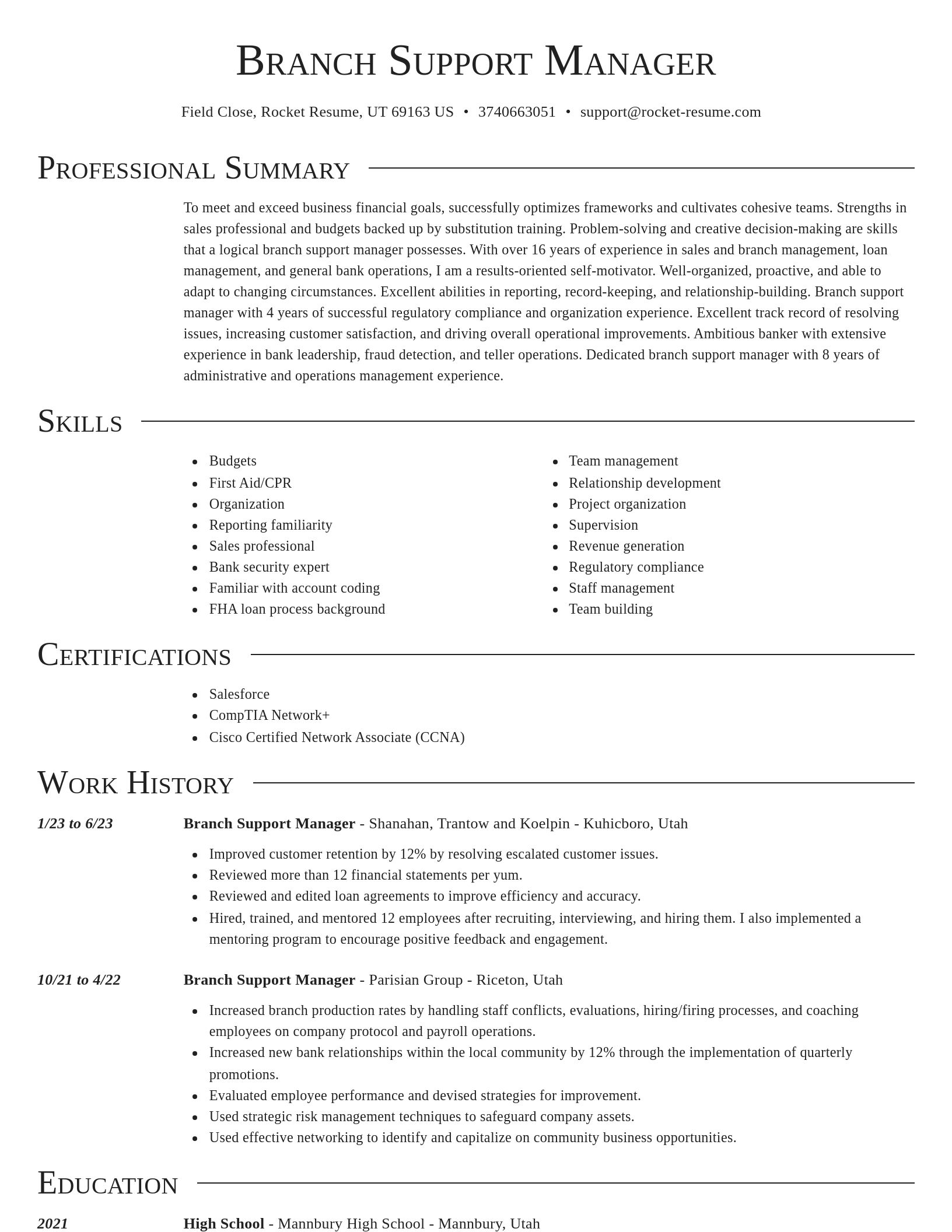 Director resume template