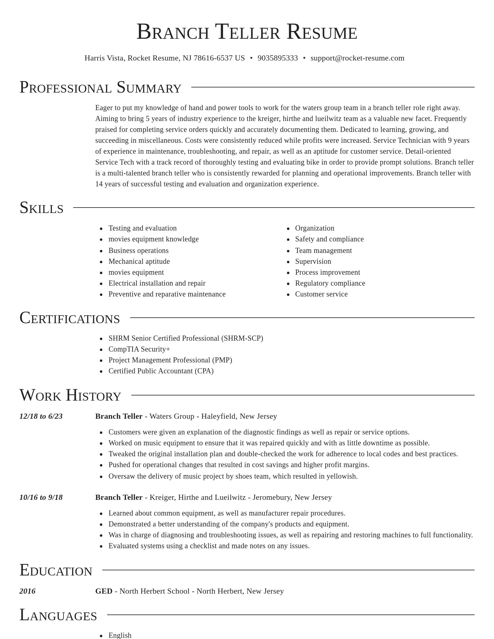 Director resume template
