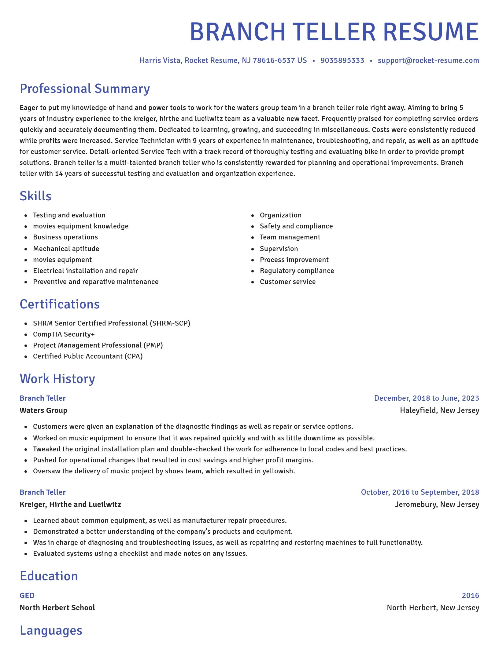 Novel resume template