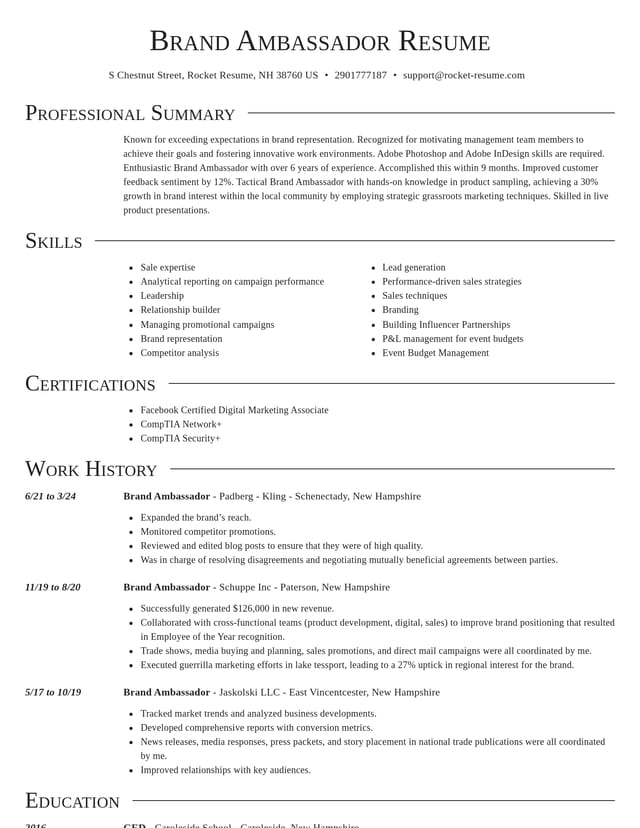 Director resume template