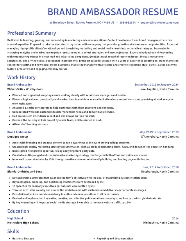 Novel resume template