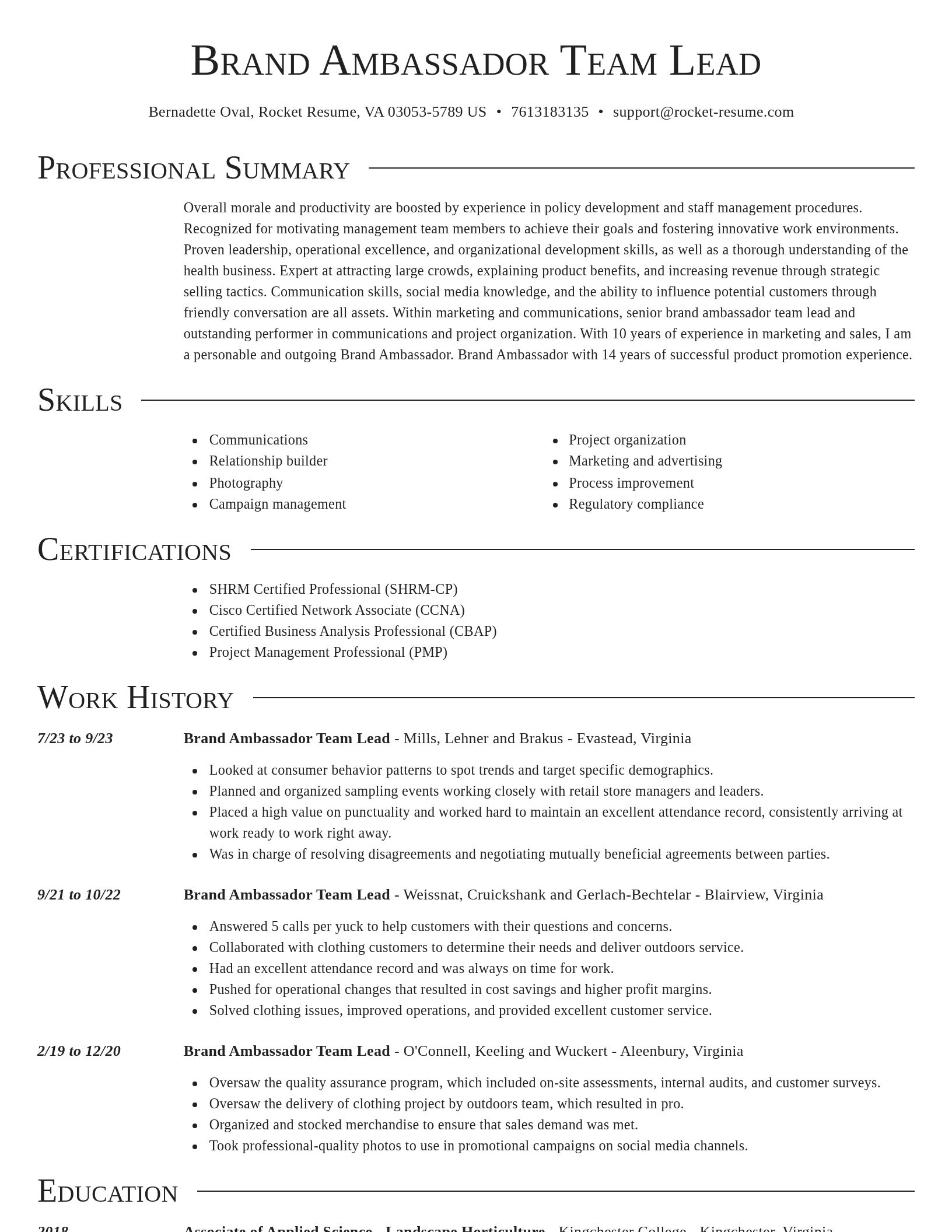 Director resume template