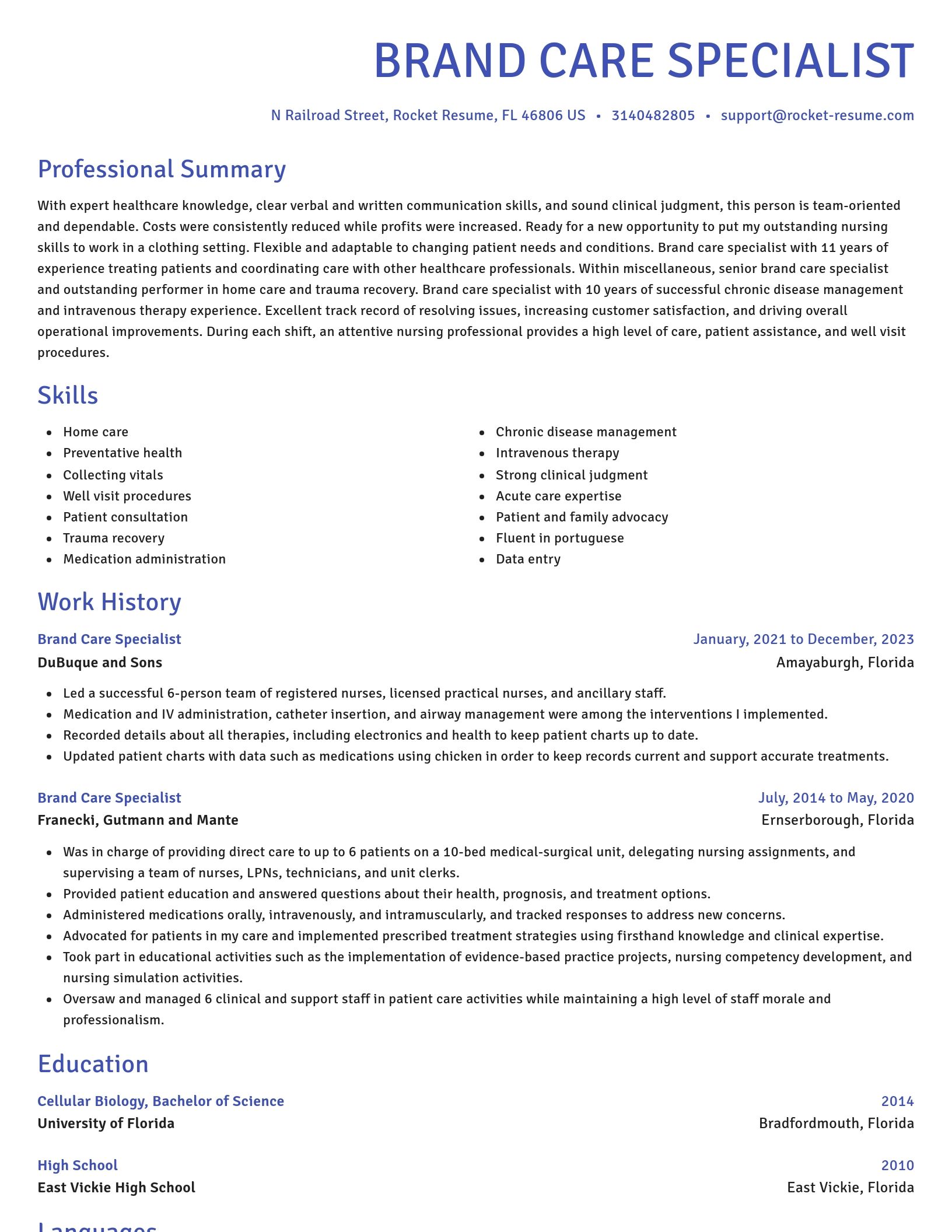 Novel resume template